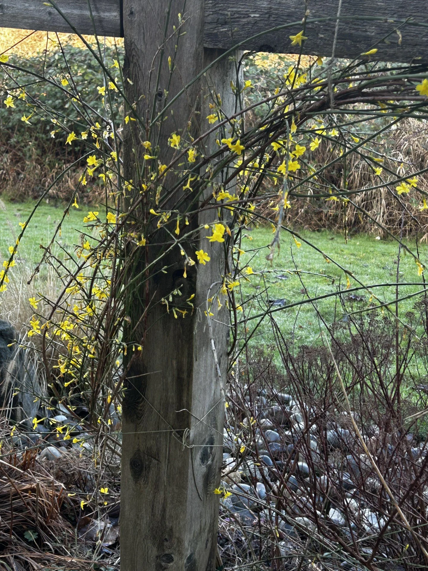 Newsletter: 3rd Week After Epiphany