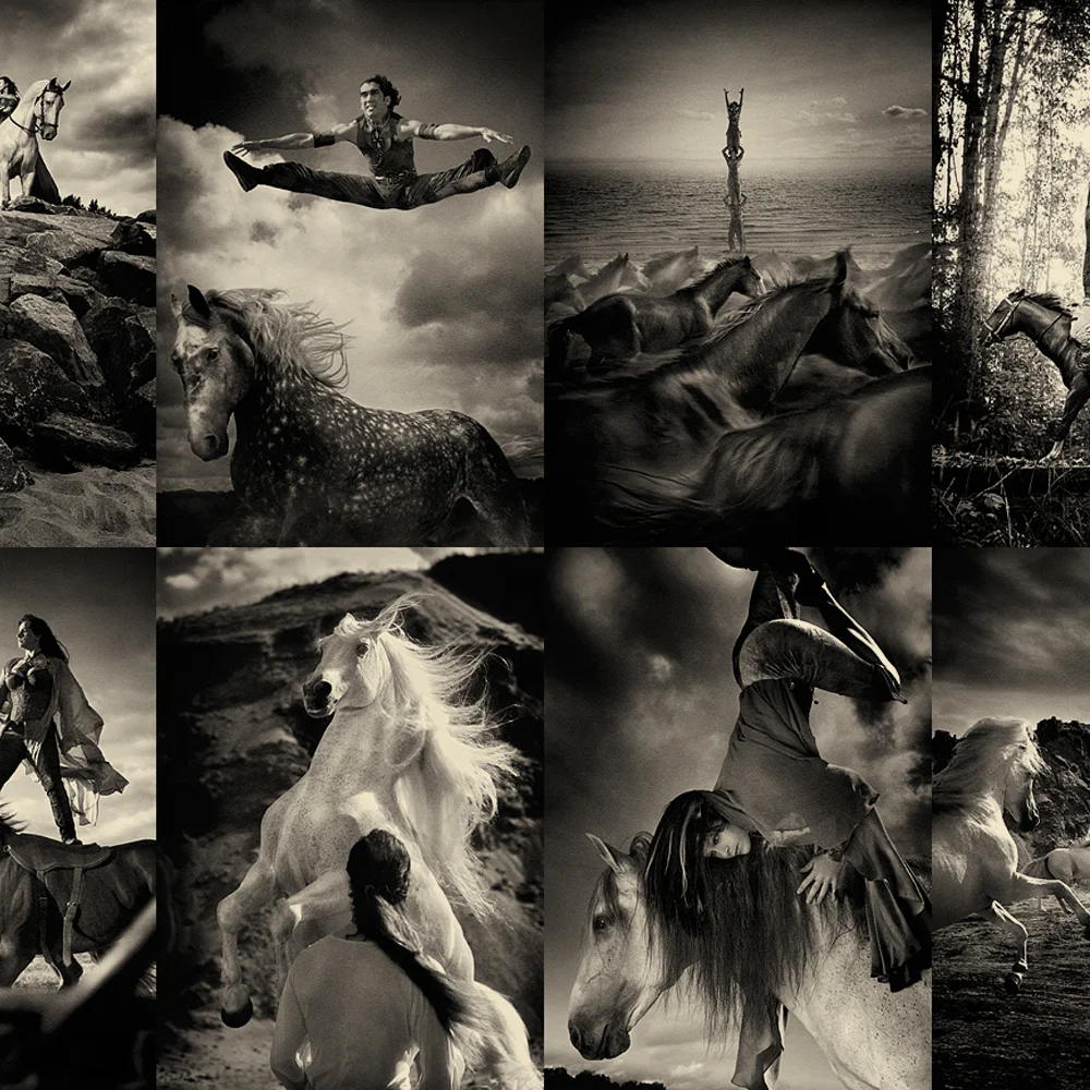 squarespace_work_cavalia_1.jpg