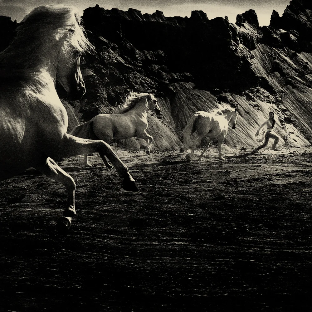 squarespace_work_cavalia_2.jpg