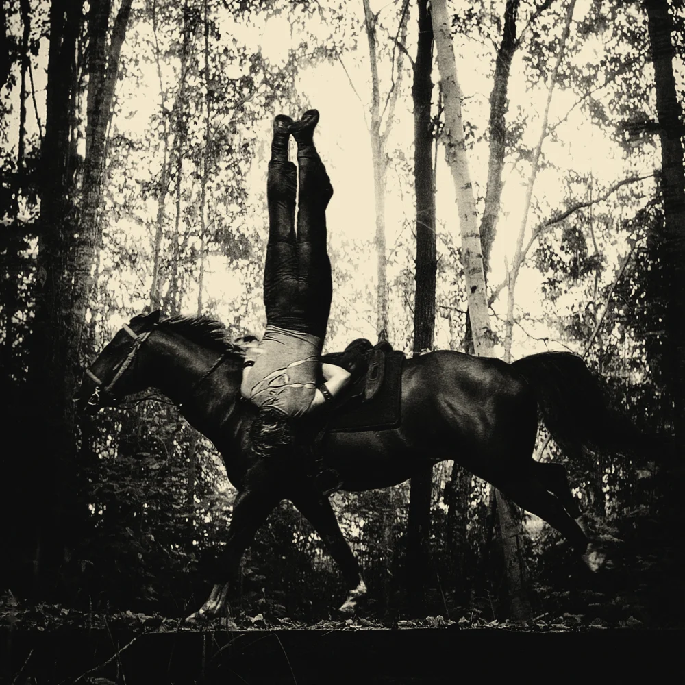 squarespace_work_cavalia_6.jpg