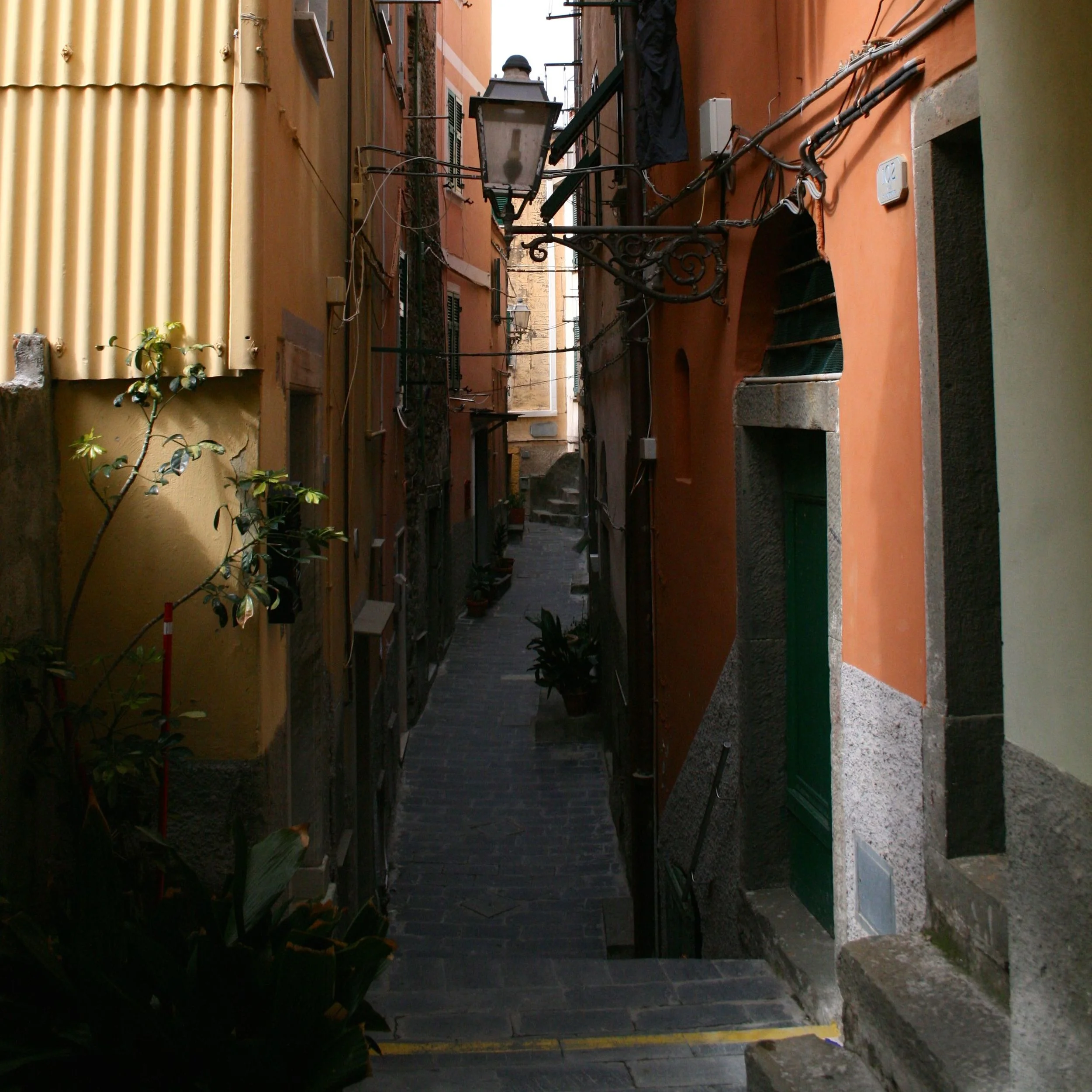 IMG_5425.jpg
