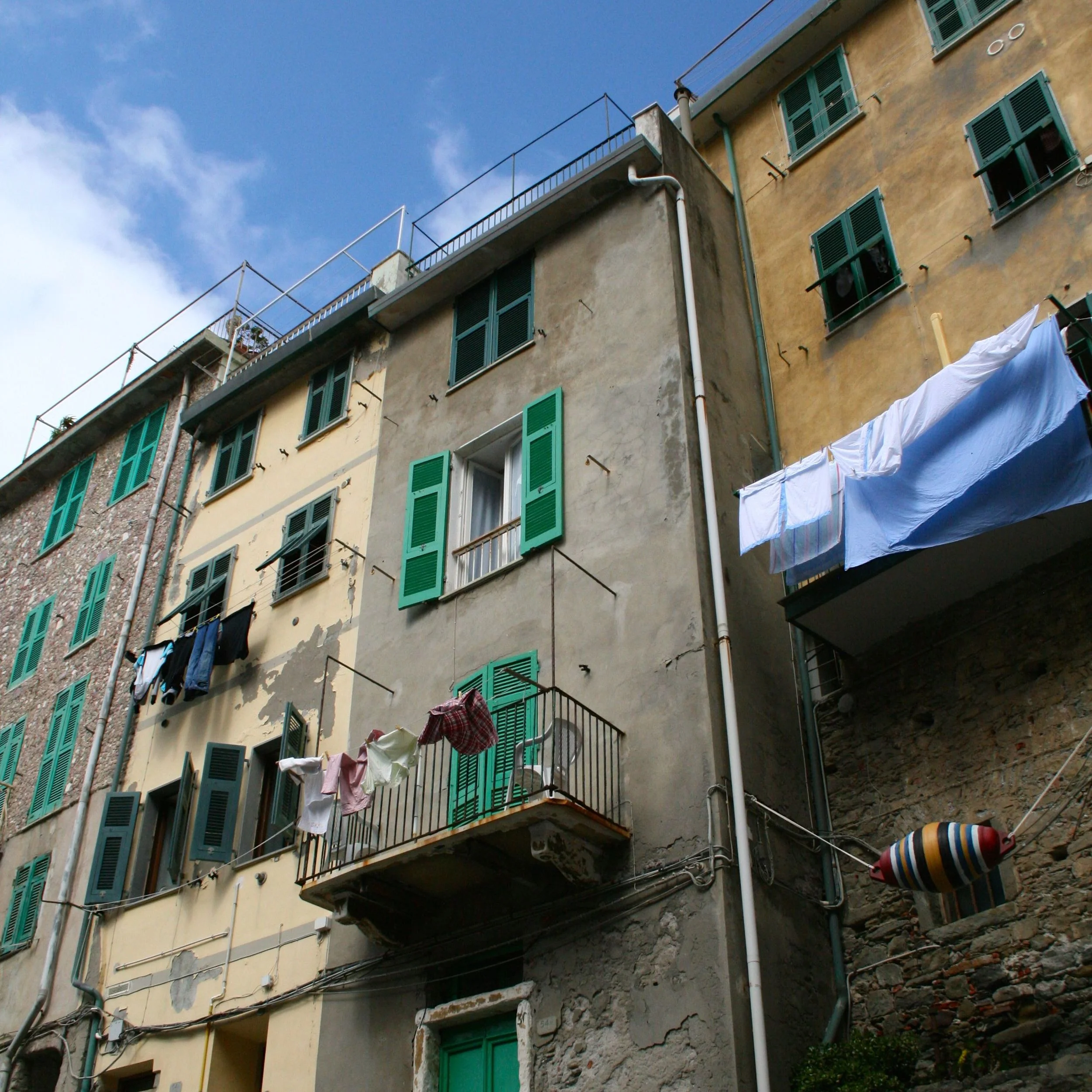 IMG_5437.jpg