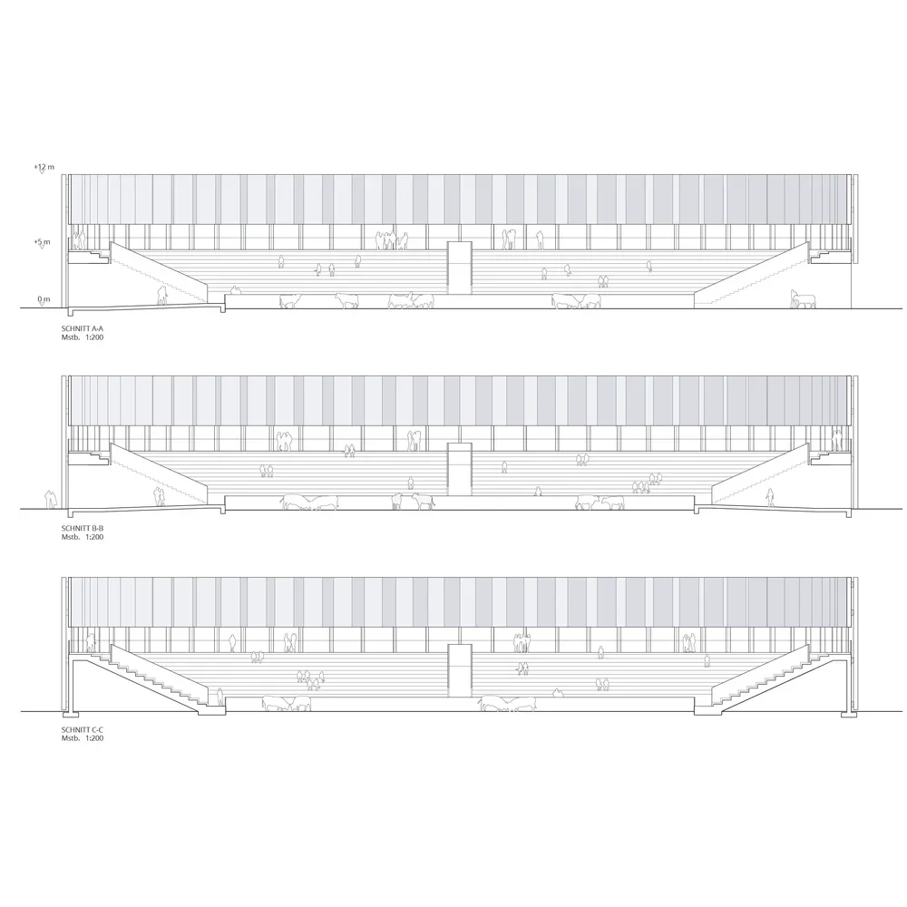 Arena+Section.webp