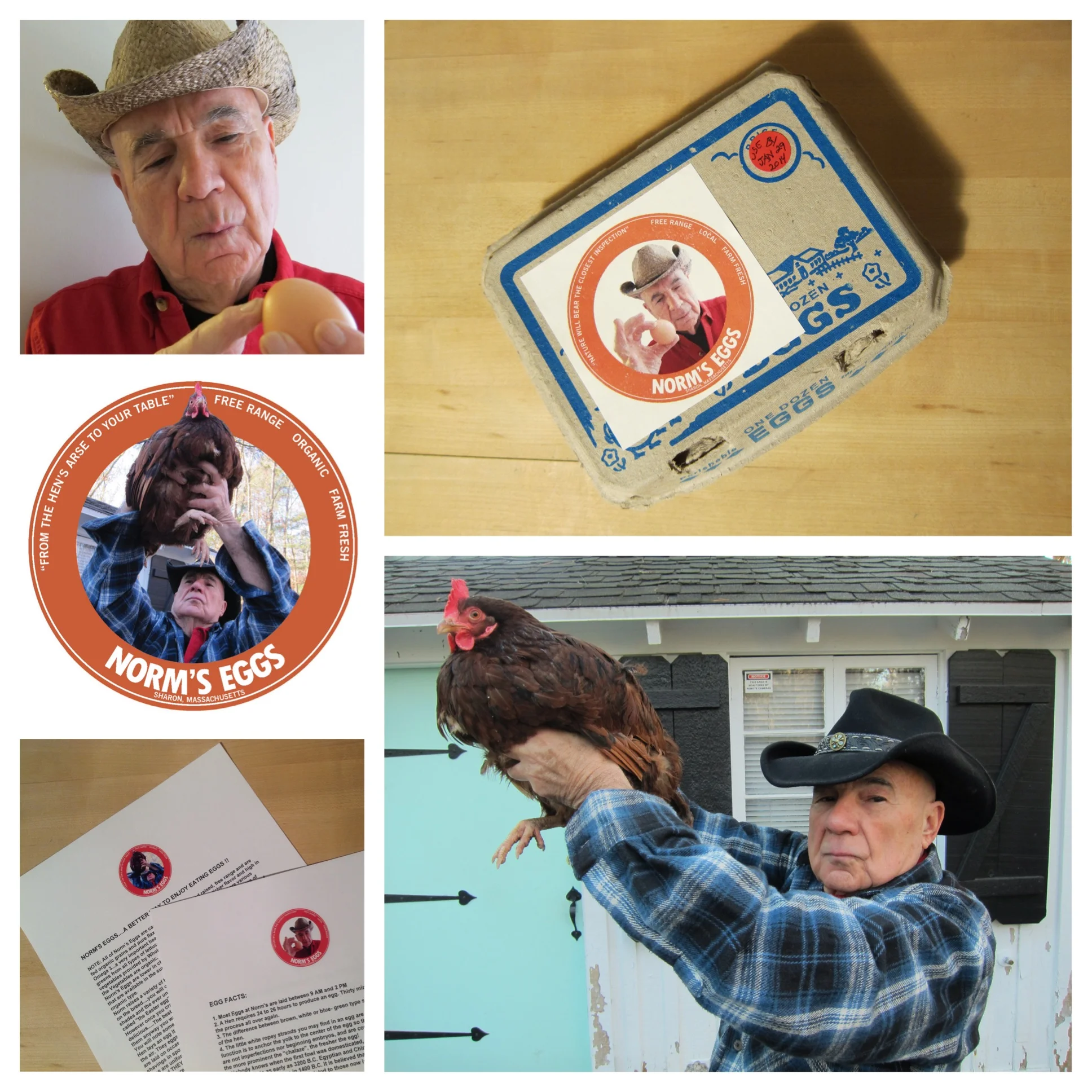 Norm's Eggs Brand Identity, Sharon, MA