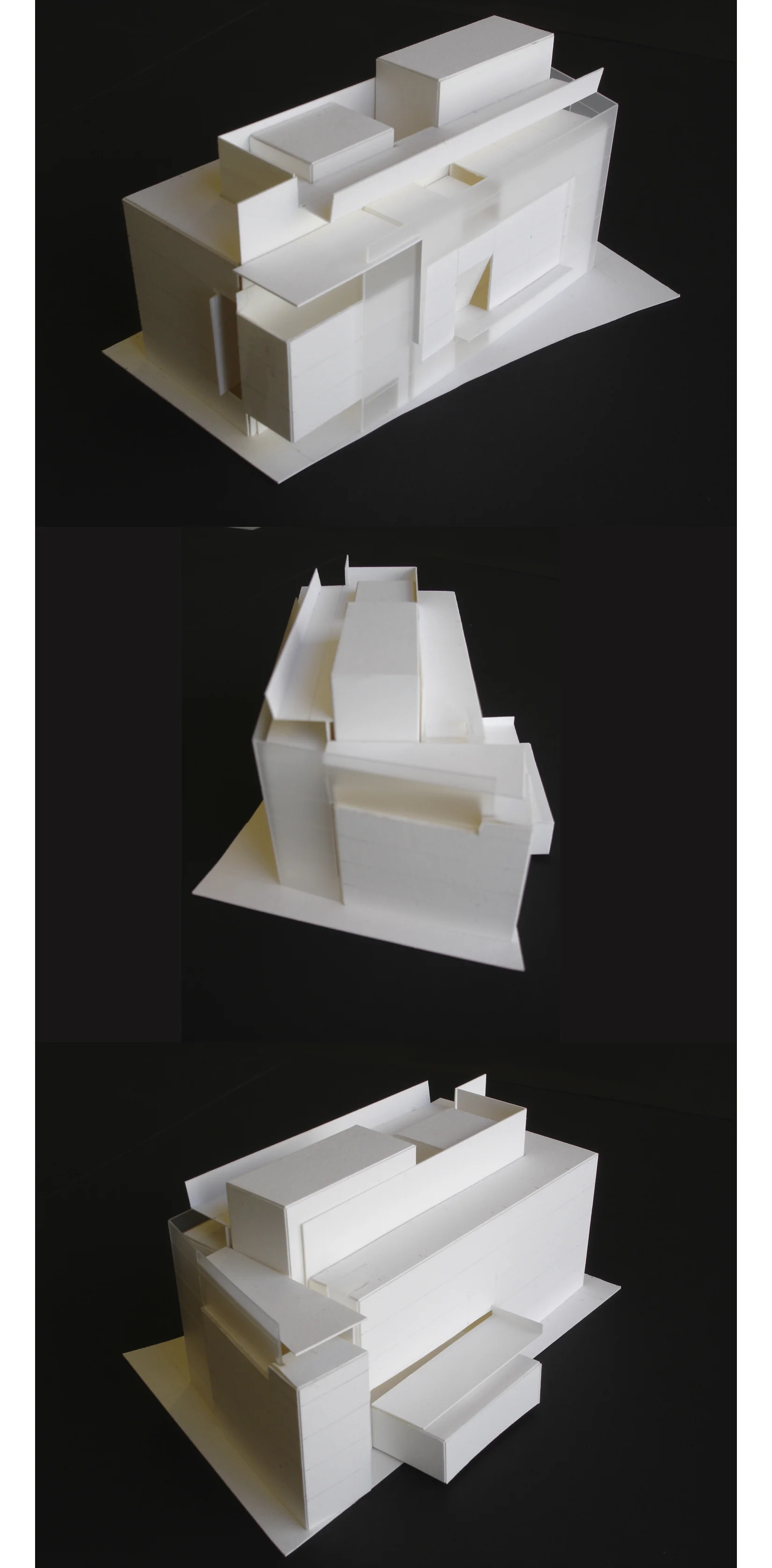 ying_crop.jpg