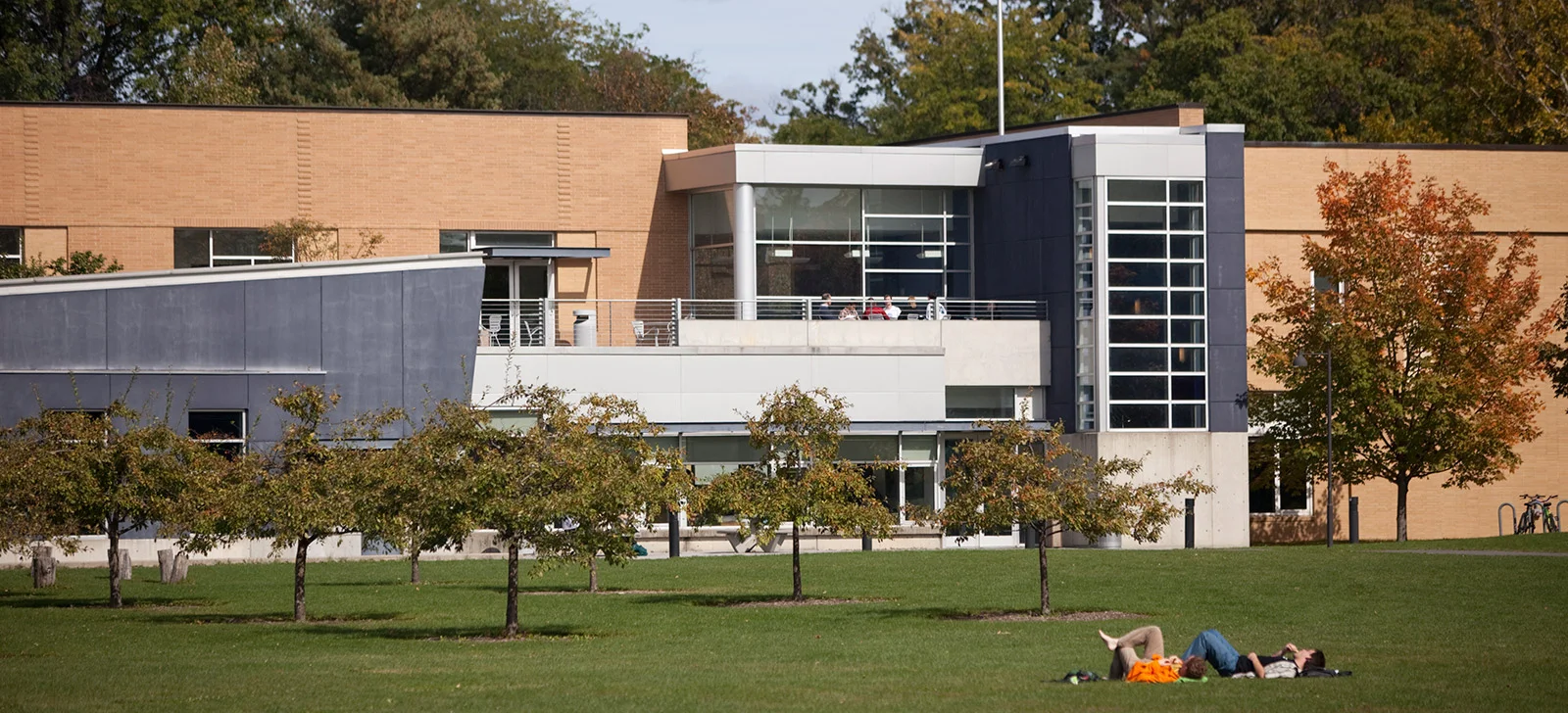 bcc-lawn-dh.jpg