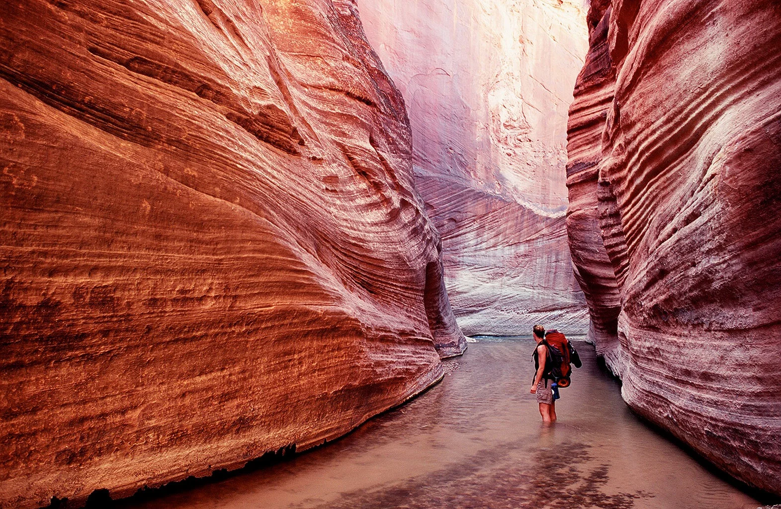 canyon.jpg