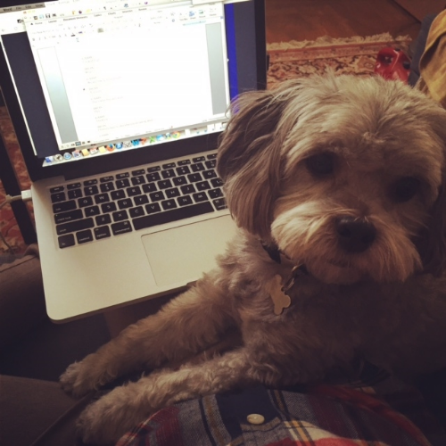 the pup doesn't given any f**ks about the work i have to do...