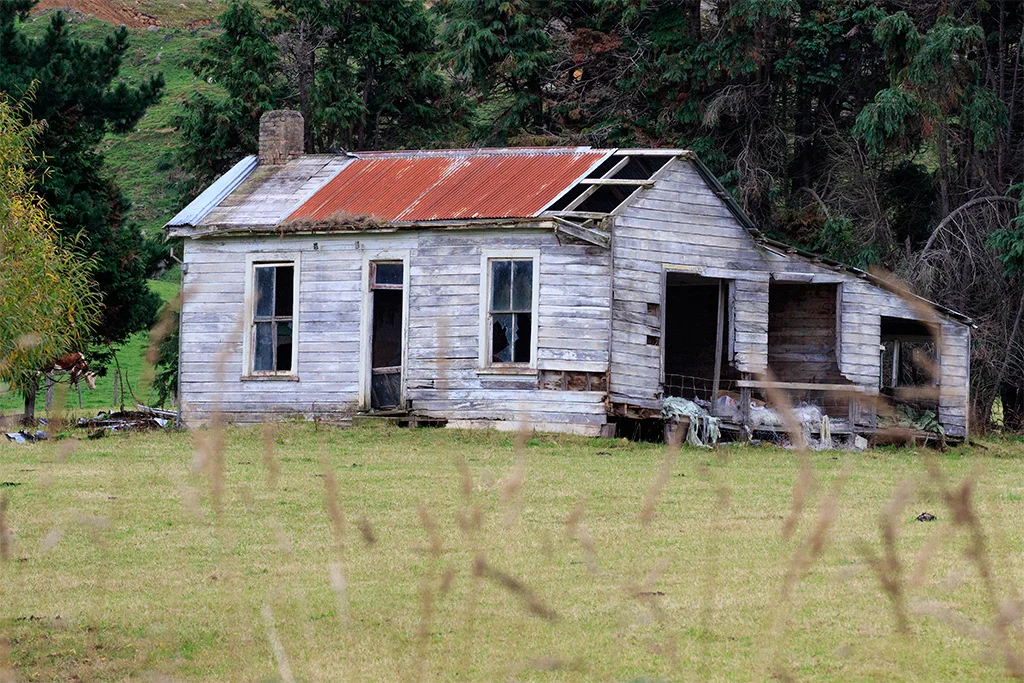 Catlins