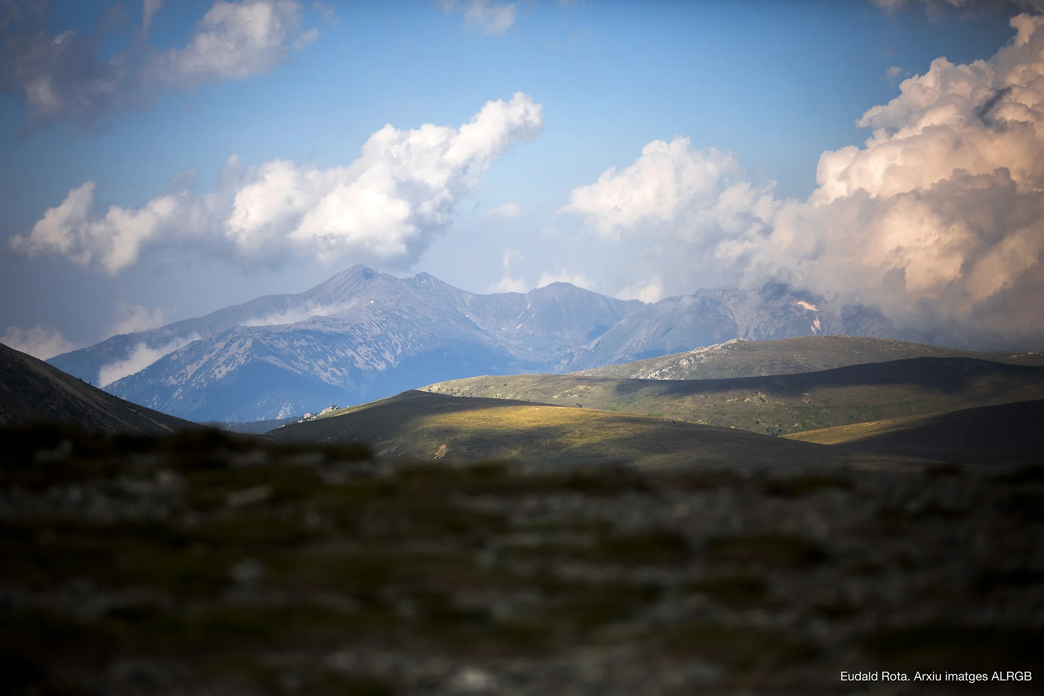 Parc Natural de les Capçaleres del Ter i del Freser