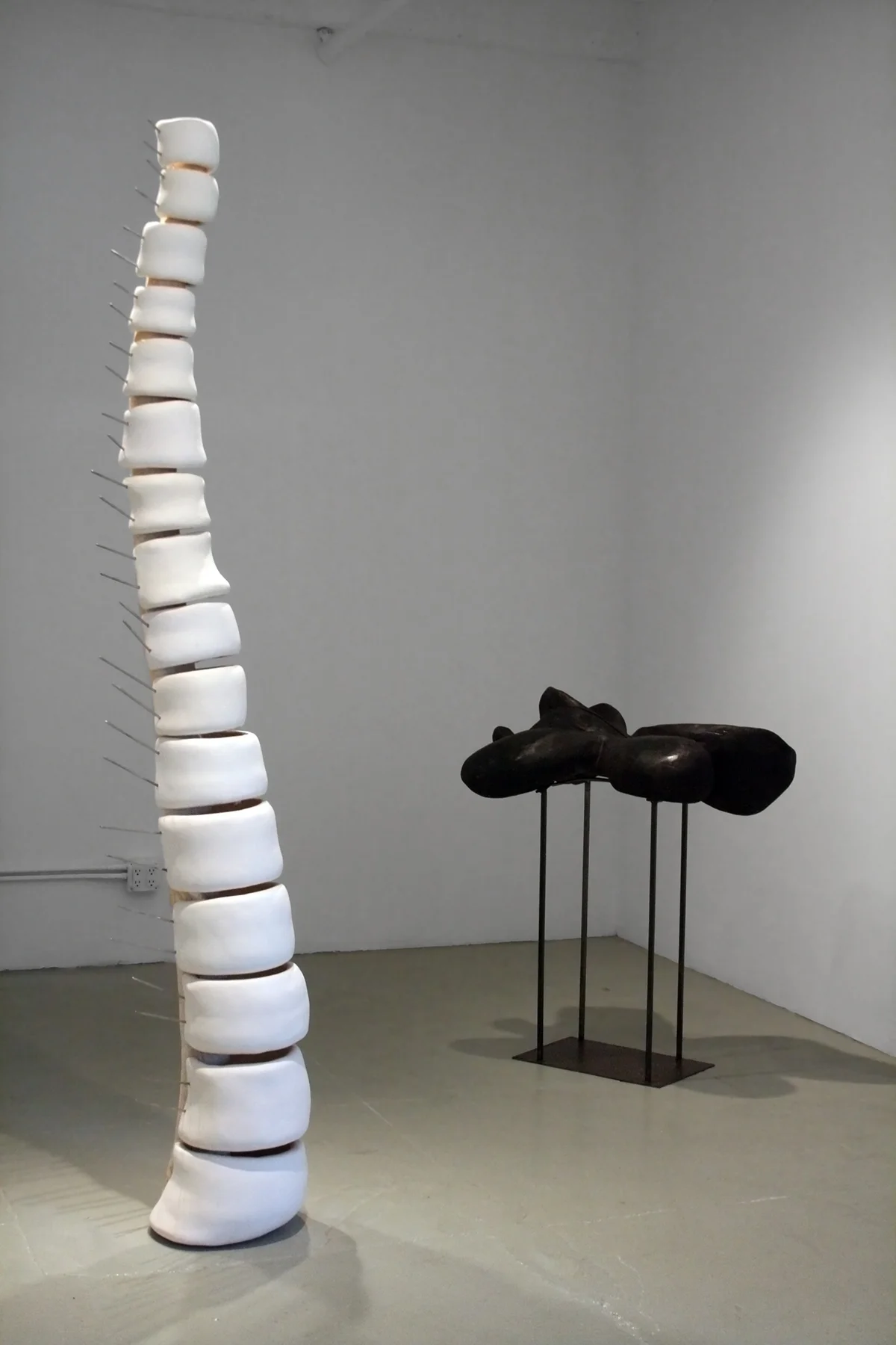 Spinal Column