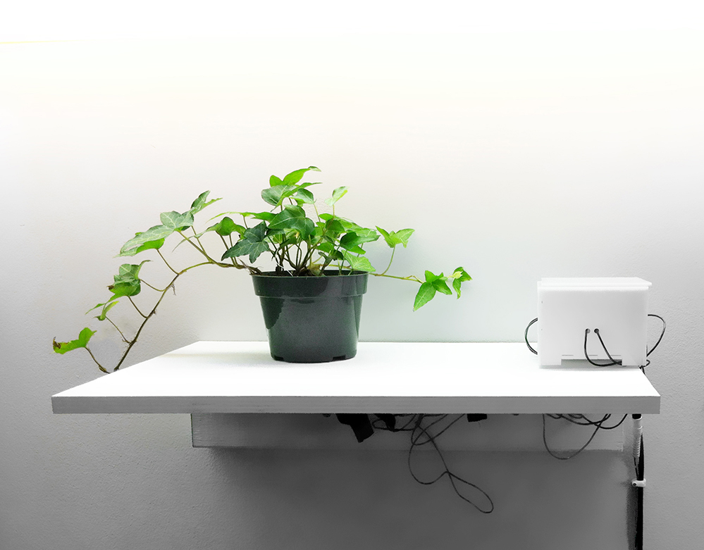 Concert for Plants by Plants