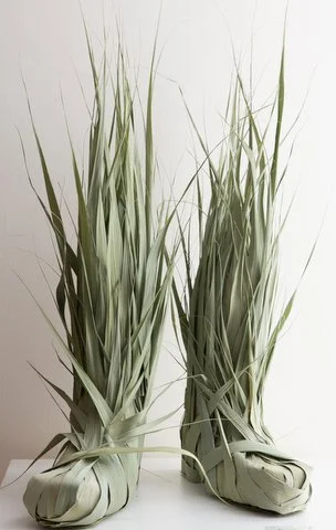 Leaves of Grass