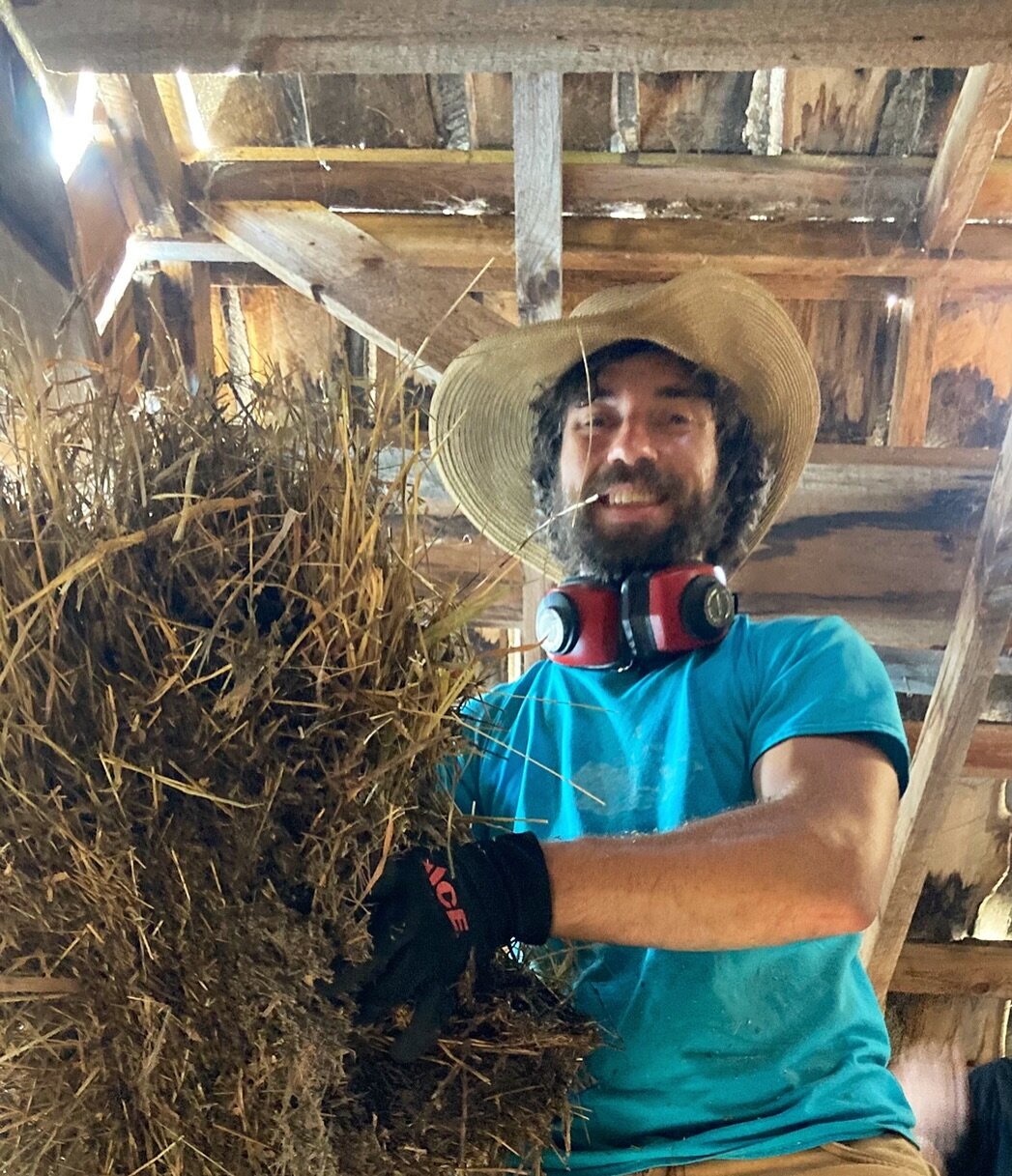 HAY! Happy Saturday from Mel&rsquo;s hand built timber framed barn, at his Sawmill in Matchwood, just down the road from camp.
🐐🐓🐂
Mel is a deep well of knowledge if you&rsquo;re interested in timber framing, hand woodworking, logging, homesteadin