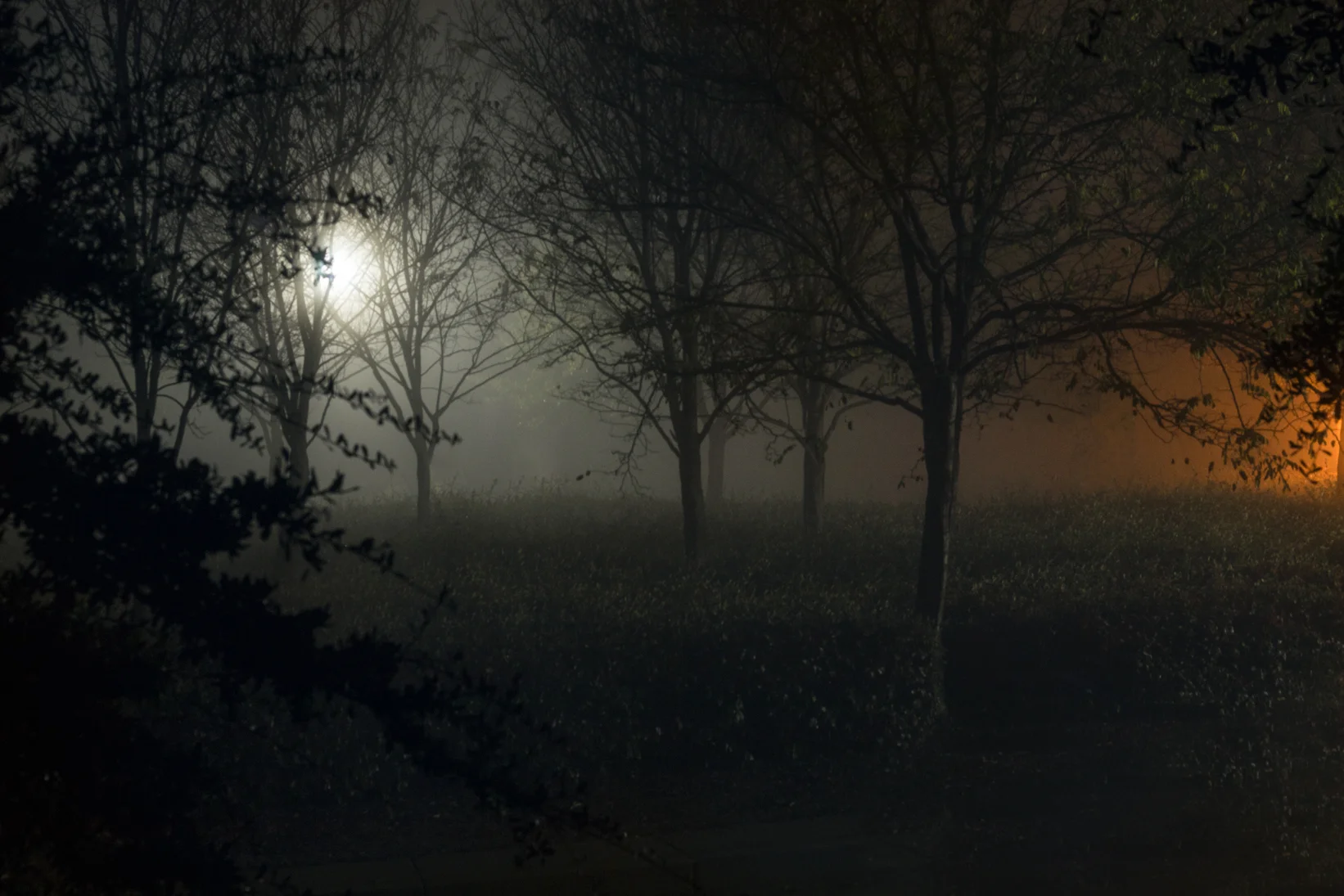 mist_web.jpg