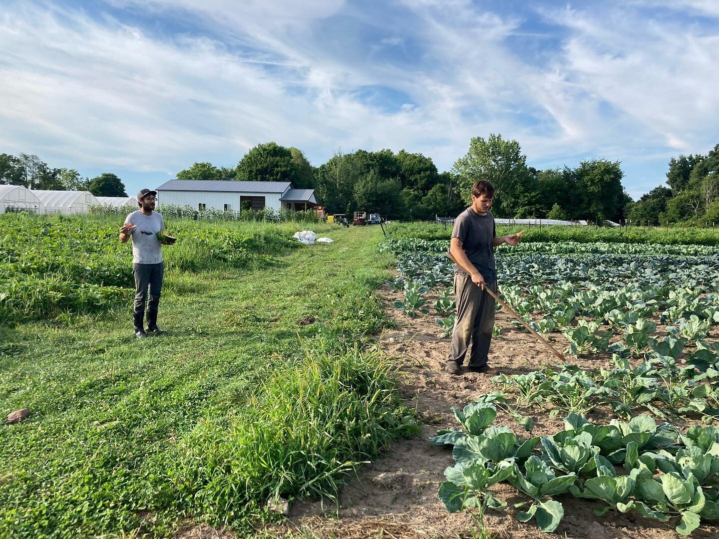 The farm looks really lovely right now.  Lots of of work and sweat and planning and worry to get us to where we are right now.  We are super proud and thankful for the crew for all their work and laughter this season.  Here we are in mid-August, eati