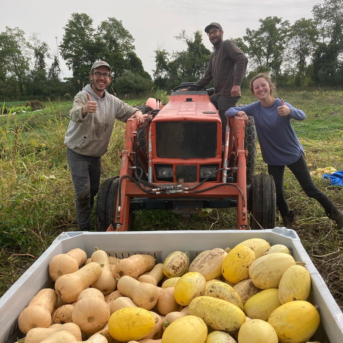 Starting the big fall harvests with beautiful winter squash, new bulk bins, and smiles!