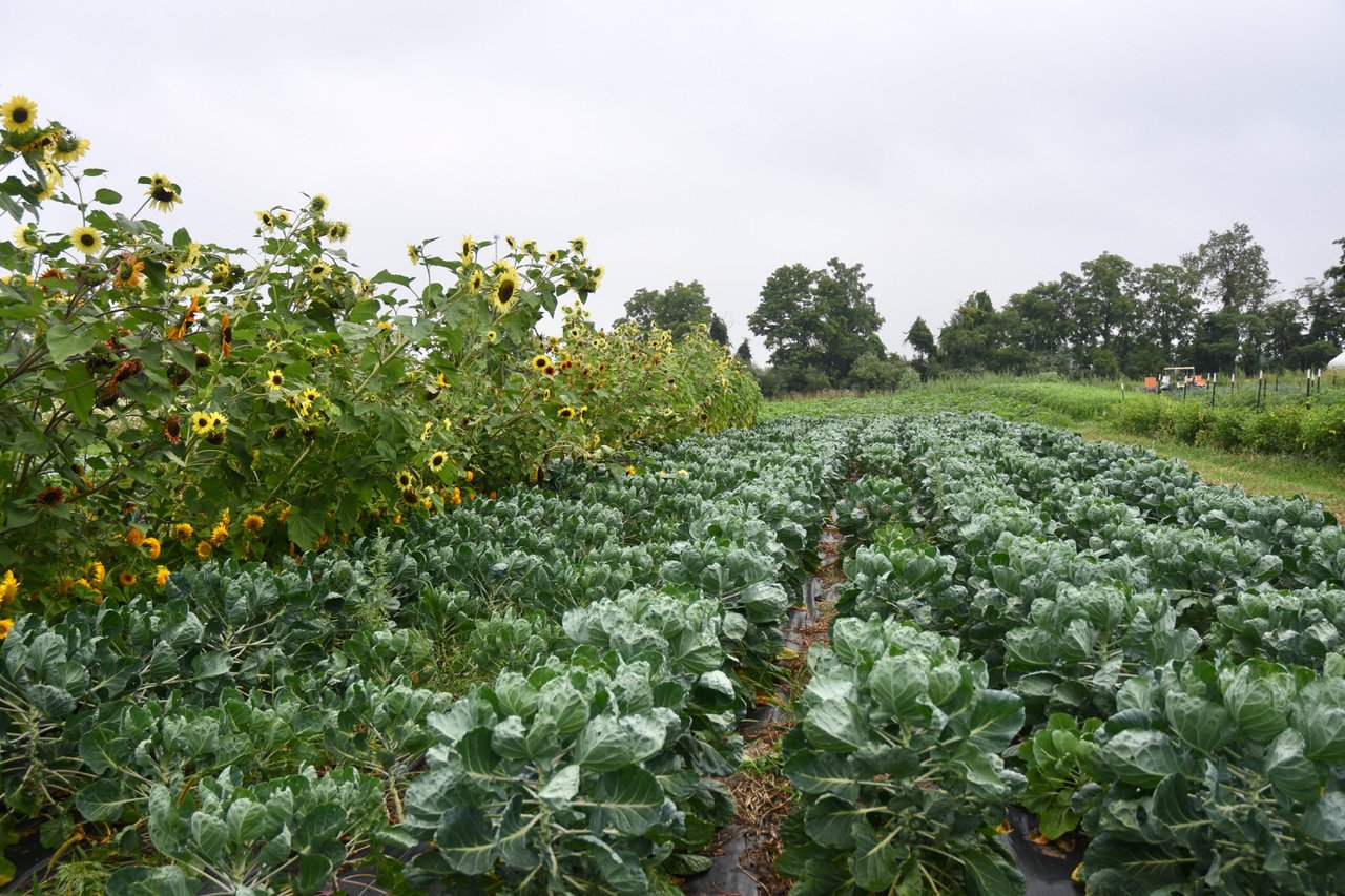 8-28-23 - 1 (5).jpeg