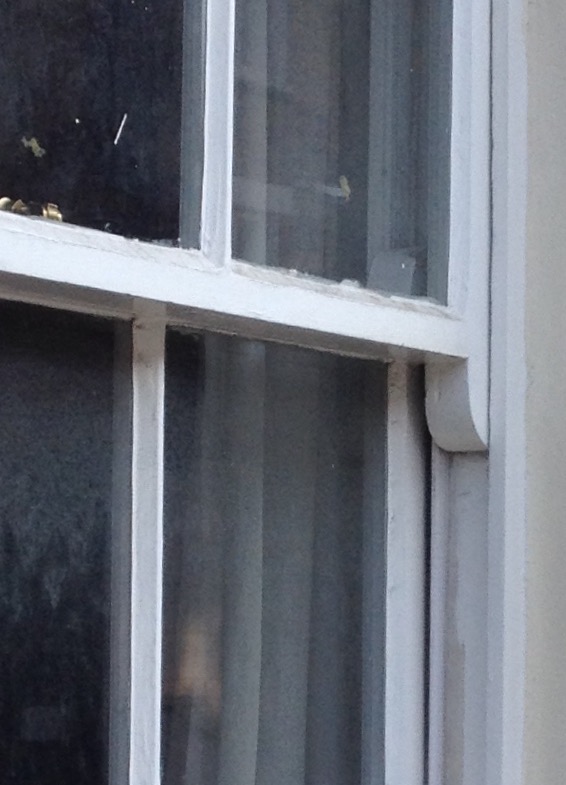 Horns on a Victorian sash