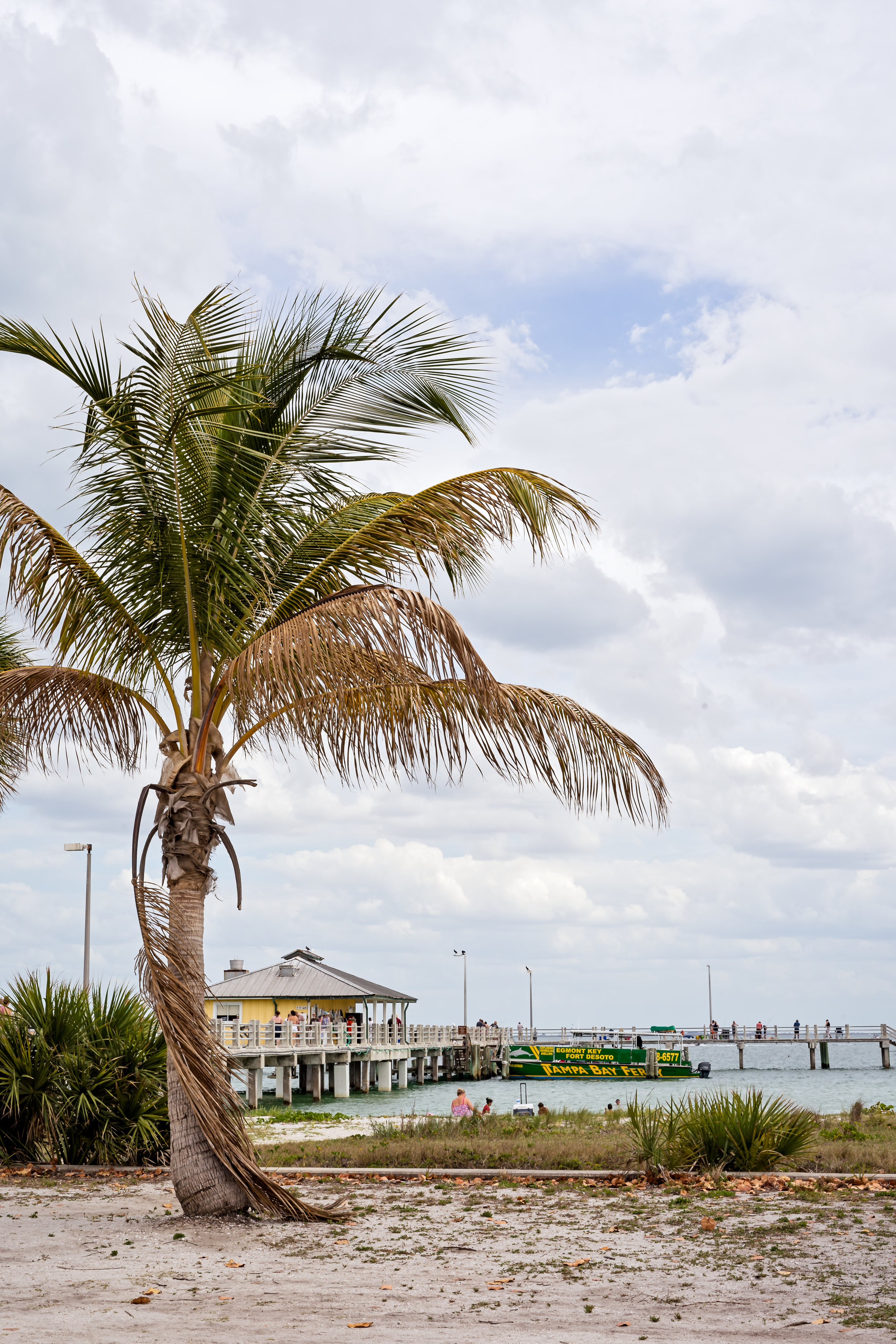 The Bay Pier offers shallower water than the Gulf Pier. It is a great spot for Spanish mackerel and sheepshead.
