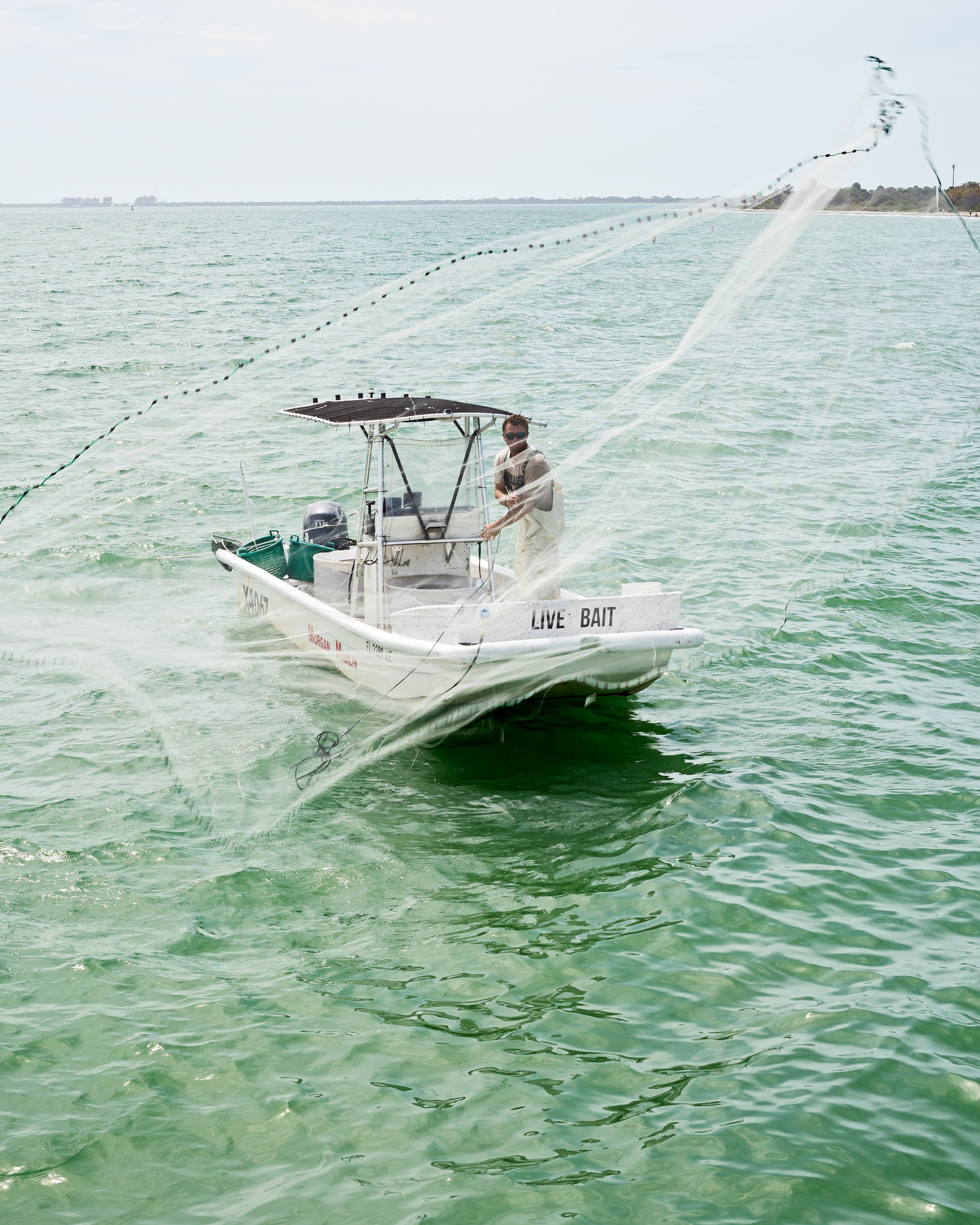 A commercial fisherman on his boat the Morgan Marlin right off the Bay Pier. Casting his fishing net after he baits the water ensures a greater catch.
