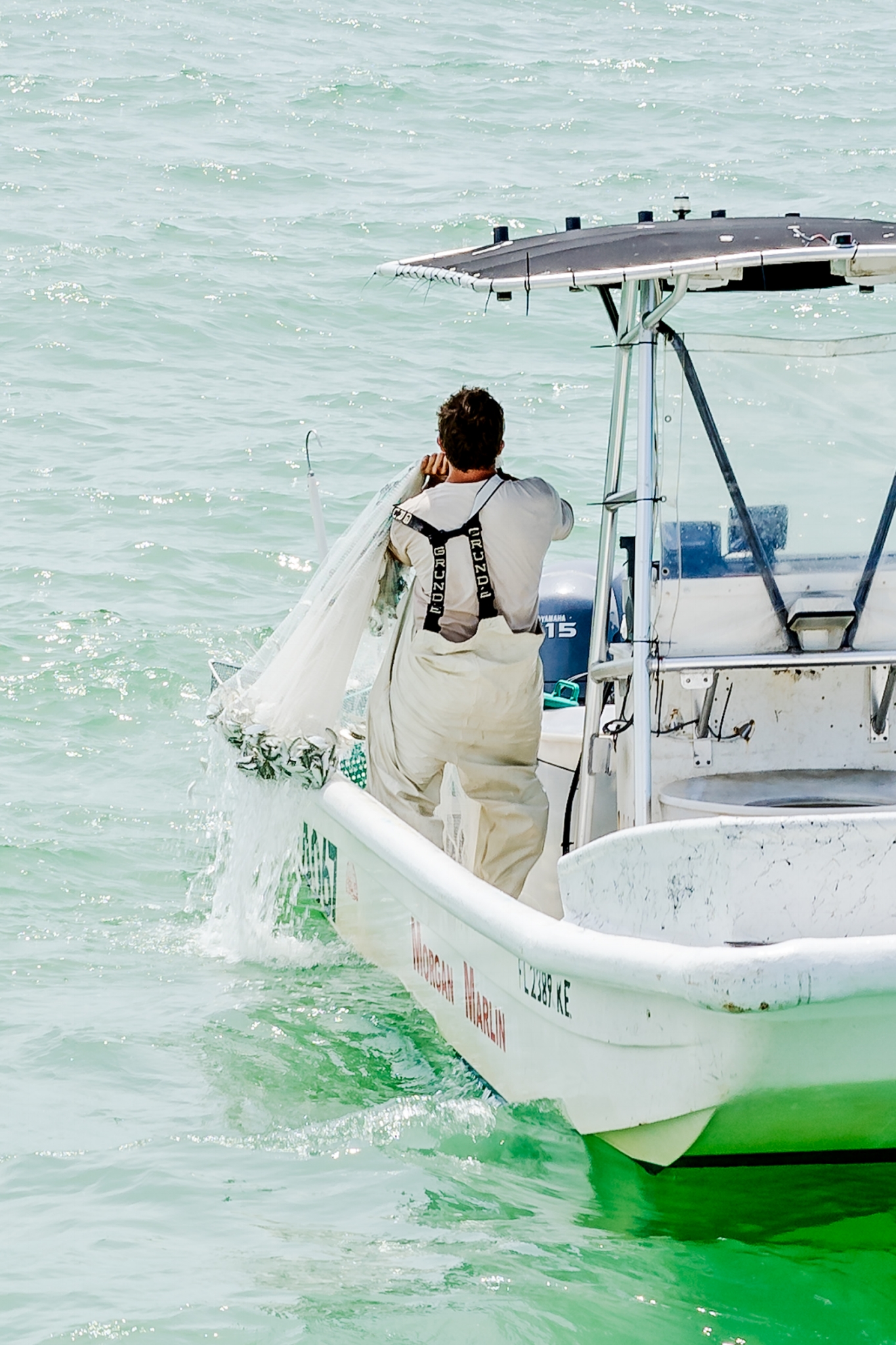 A commercial fisherman on the Morgan Marlin hauling in his net full of fish.