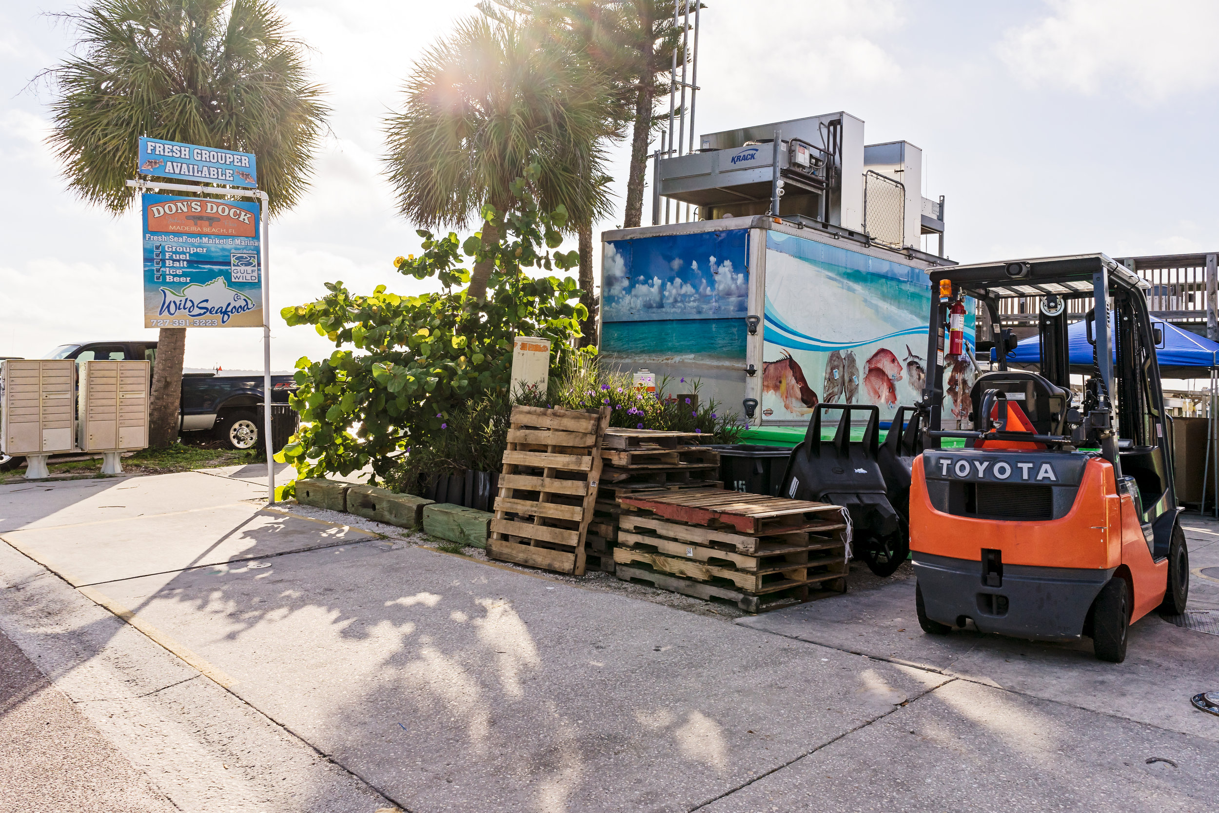 Wild Seafood is in St. John's Village and located at Don's Dock. It is a family owned fish house that provides sustainable seafood harvested in the Gulf of Mexico. They provide seafood to both commercial and local consumers.