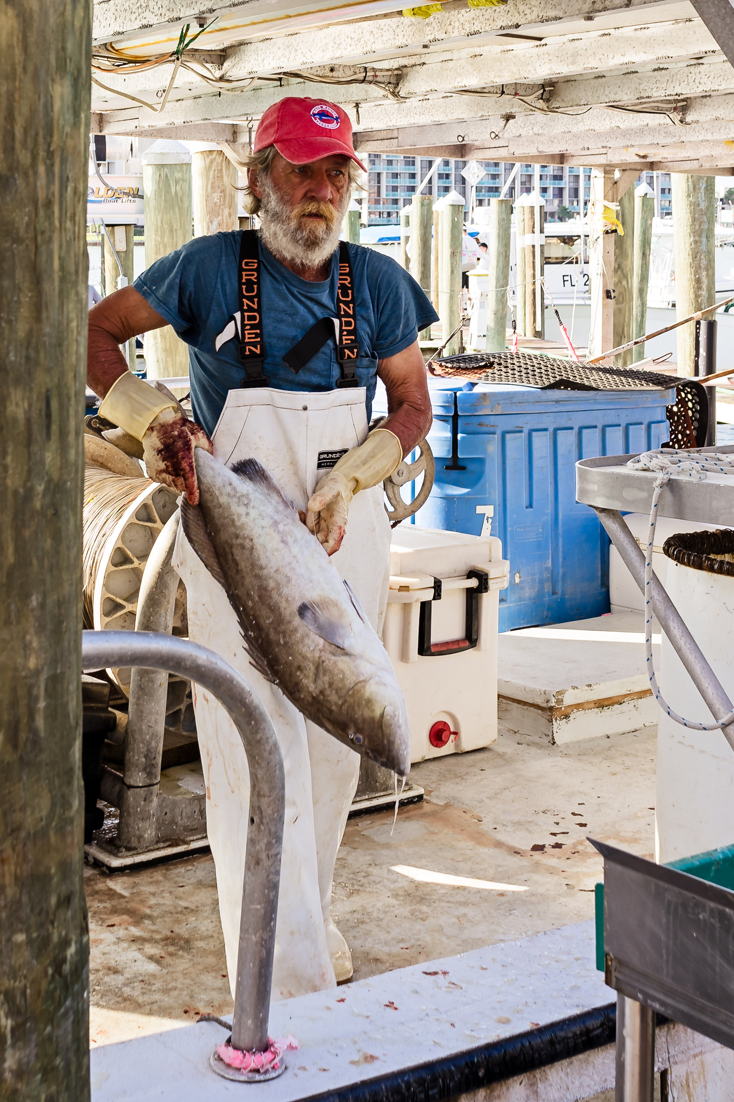 A deckhand offloading the catch at Don's Dock. Each fisherman that signs a contract with Gulf Wild agrees to a strict set of "Conservation Covenants"that go beyond federal regulations. Participating in a catch share program and having a camera on-board are just two of these requirements. The catch share program provides incentives in support of responsible harvesting of fish. They also must submit to random audit testing to ensure compliance. 
