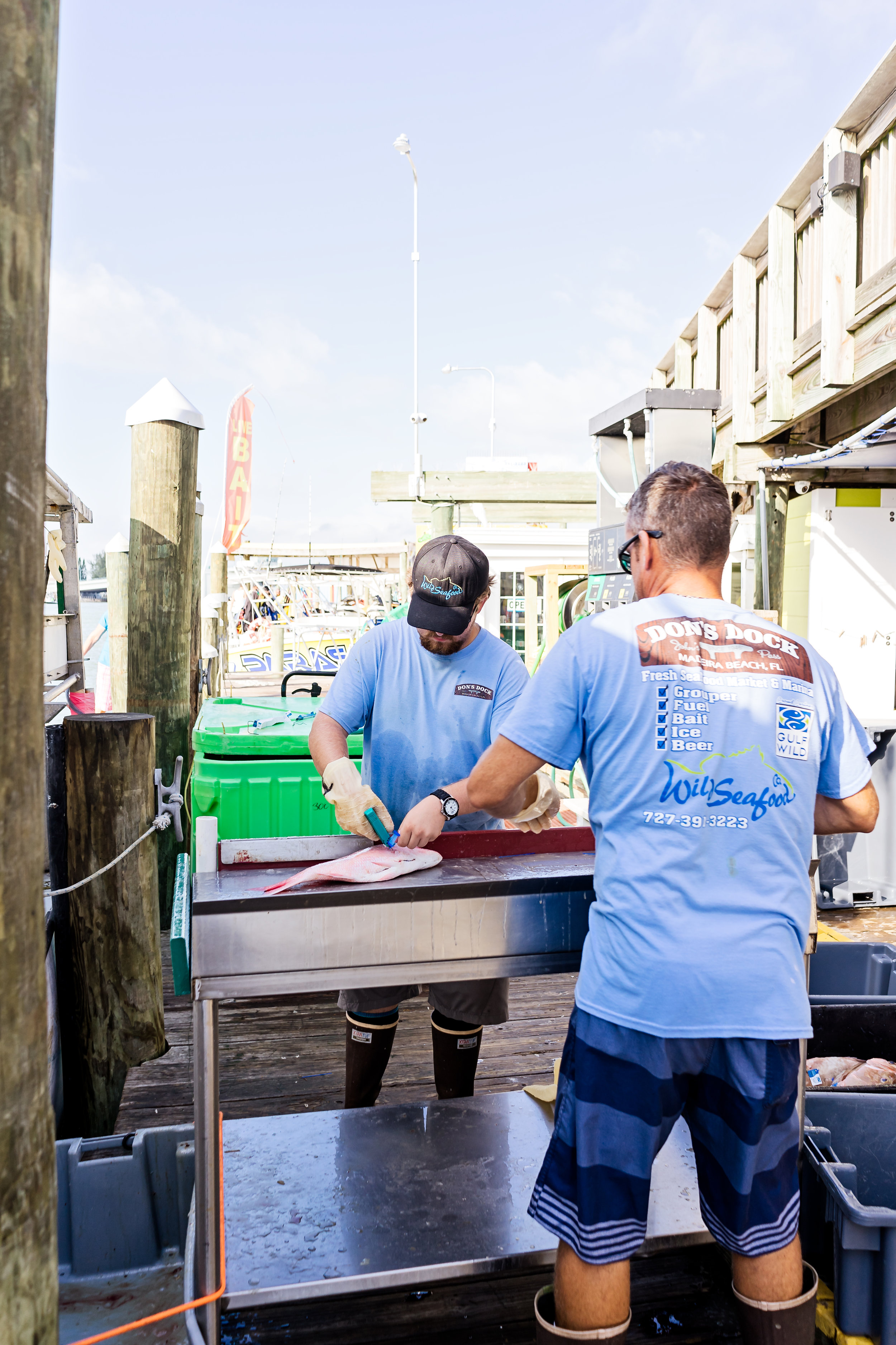 Tyler Lavrinc tags each fish as it comes through the line.