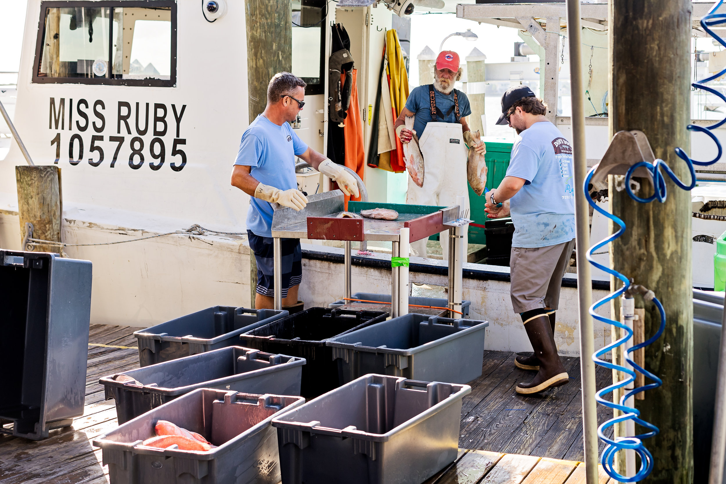 The staff at Wild Seafood spent about three hours off loading and preparing fish for shipment on Friday.