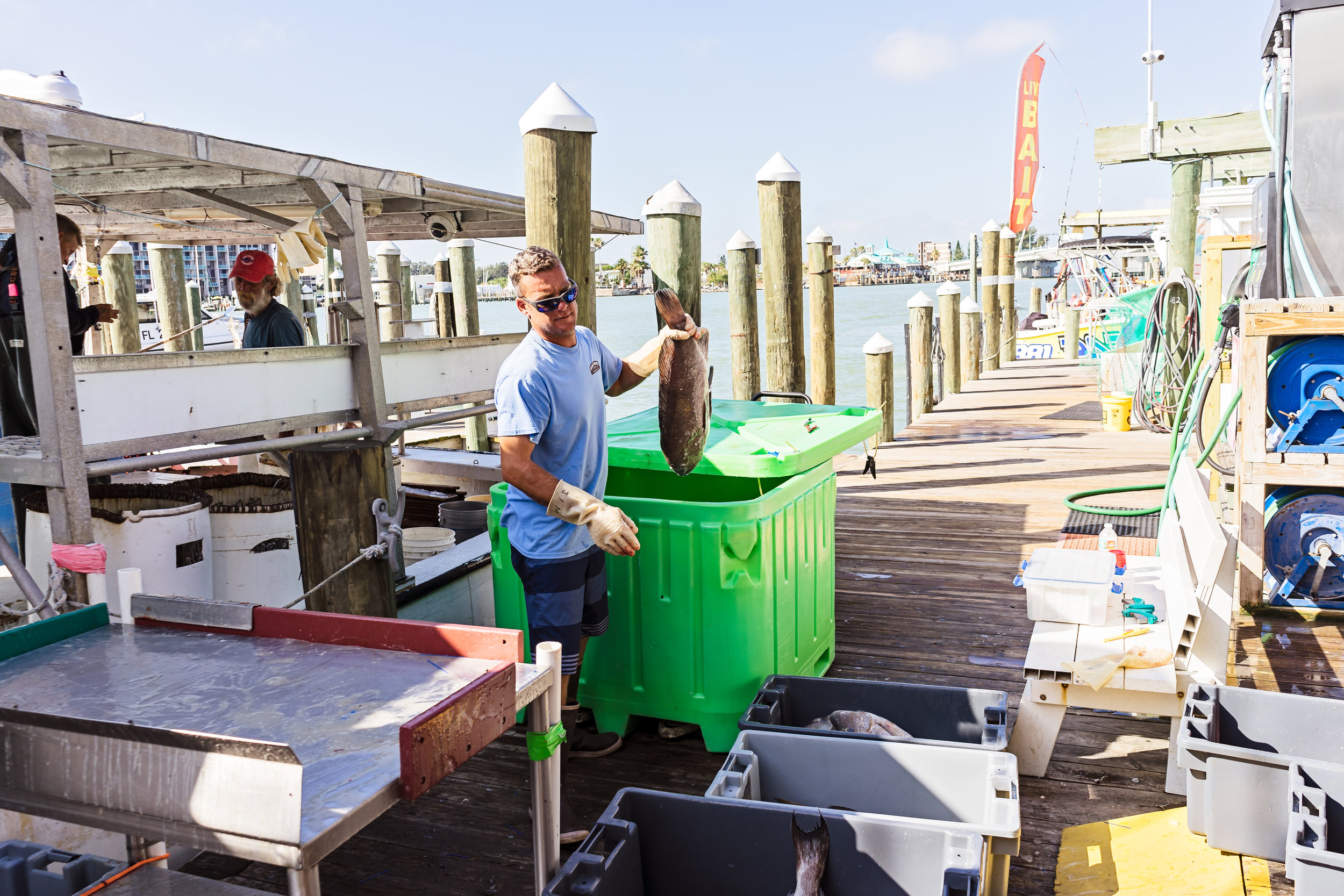 Chris Zook moving fish from the large container to a smaller bin.