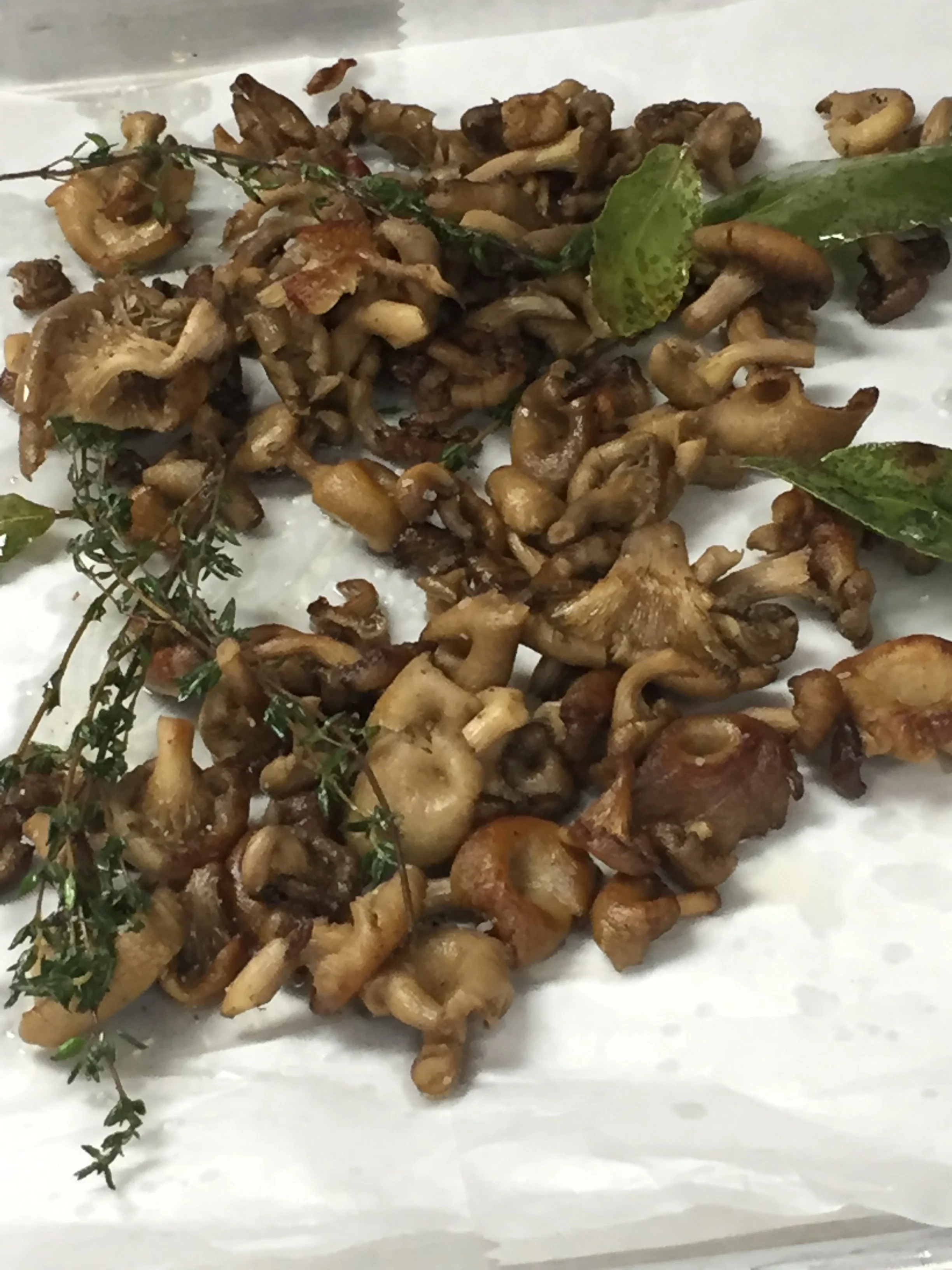 Chanterelle mushrooms. Wild Game Dinner, November, 2015.