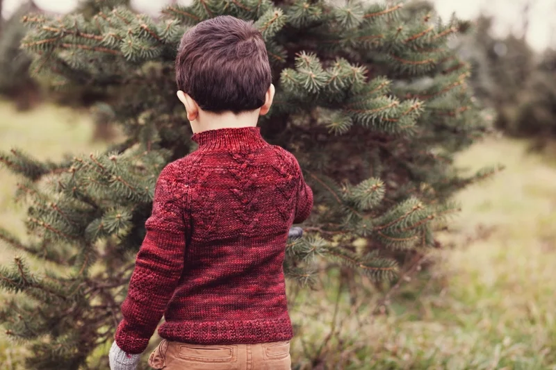 Pattern Debut: Catoctin