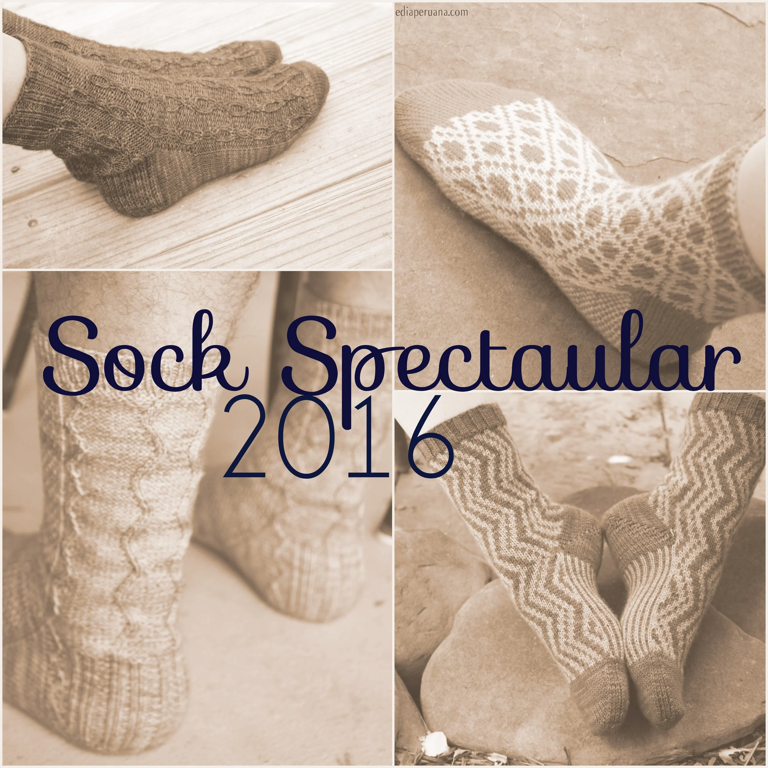 Sock Spectacular 2016 Contest