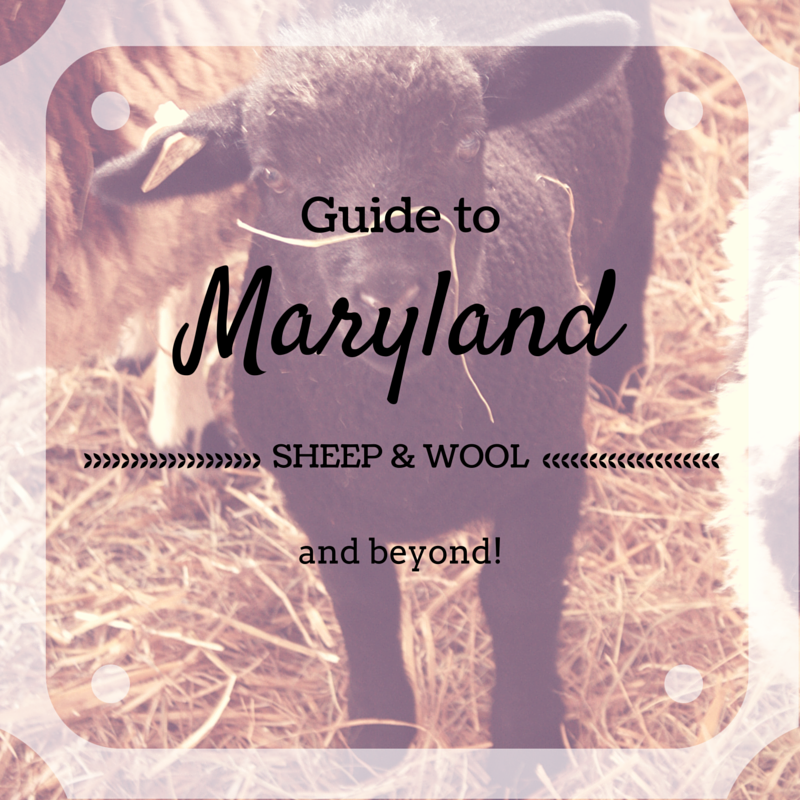 Guide to Maryland Sheep and Wool Festival