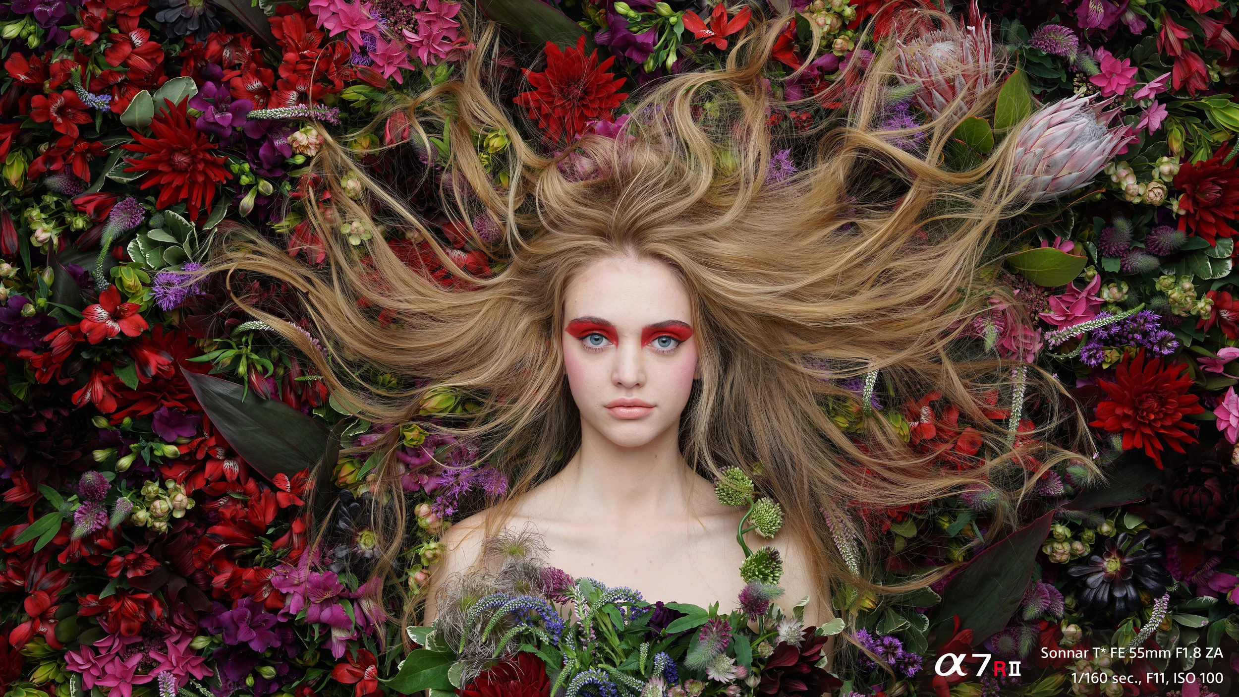 Sony A7RII Sample Photos 