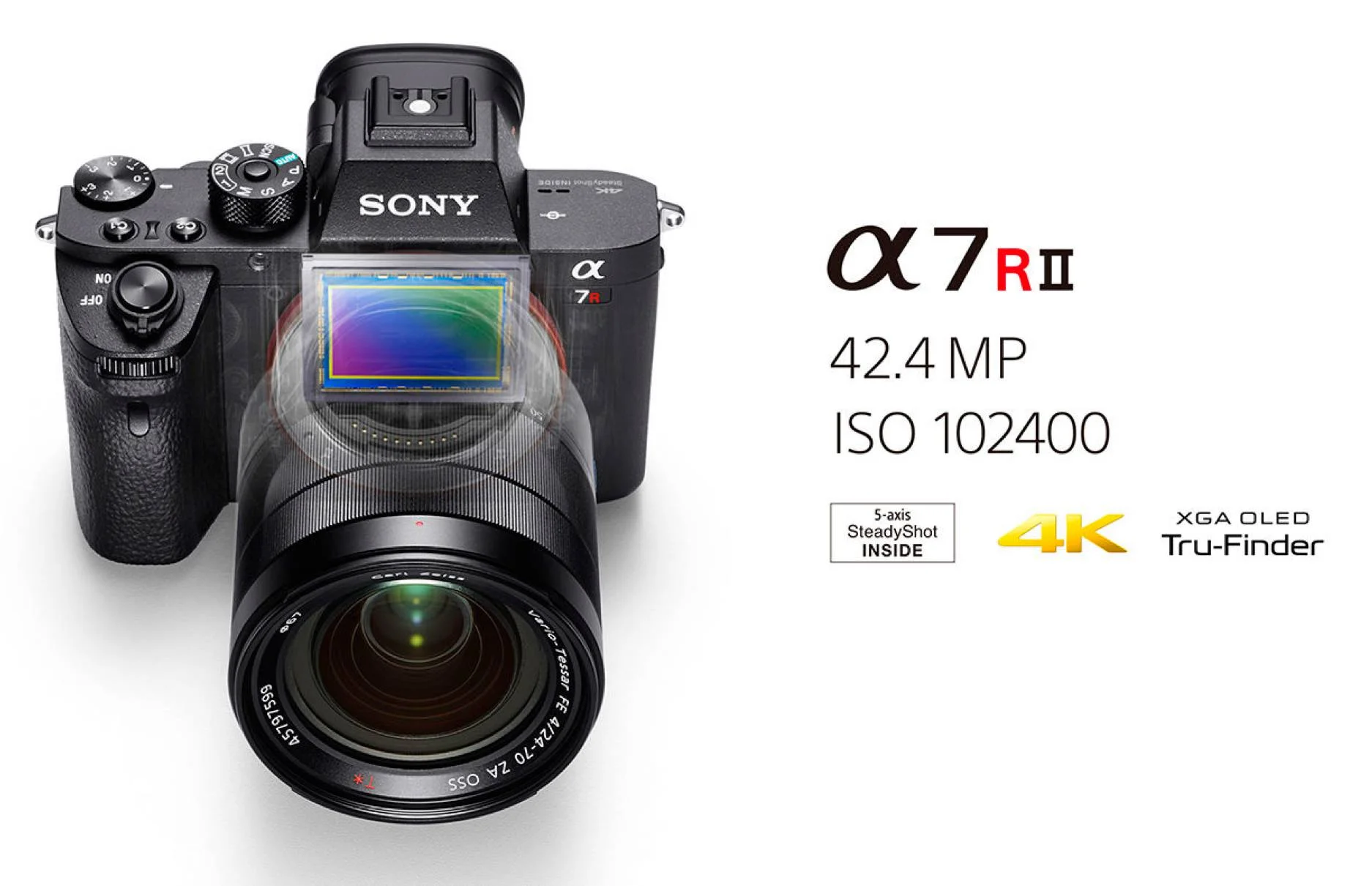 Sony A7RII Autofocus Speed Test 