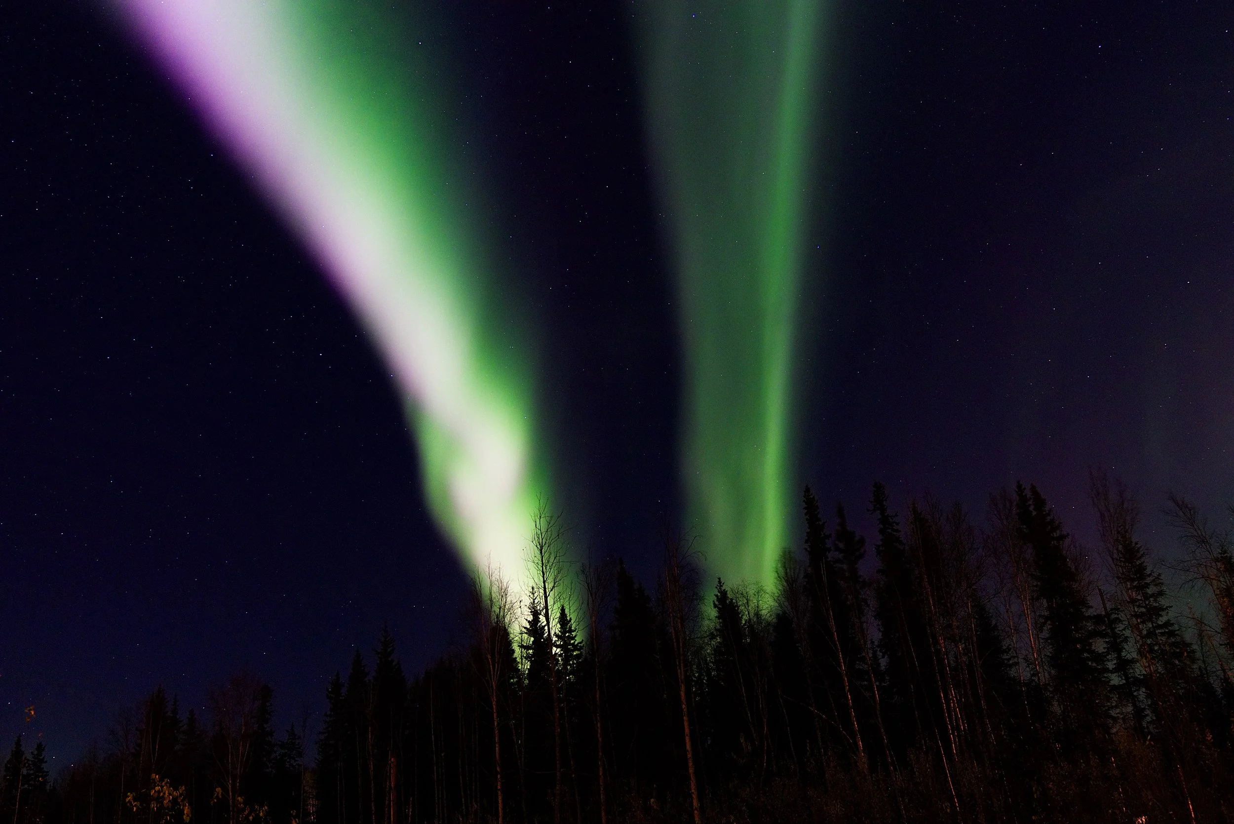 Northern Lights (Aurora Borealis)