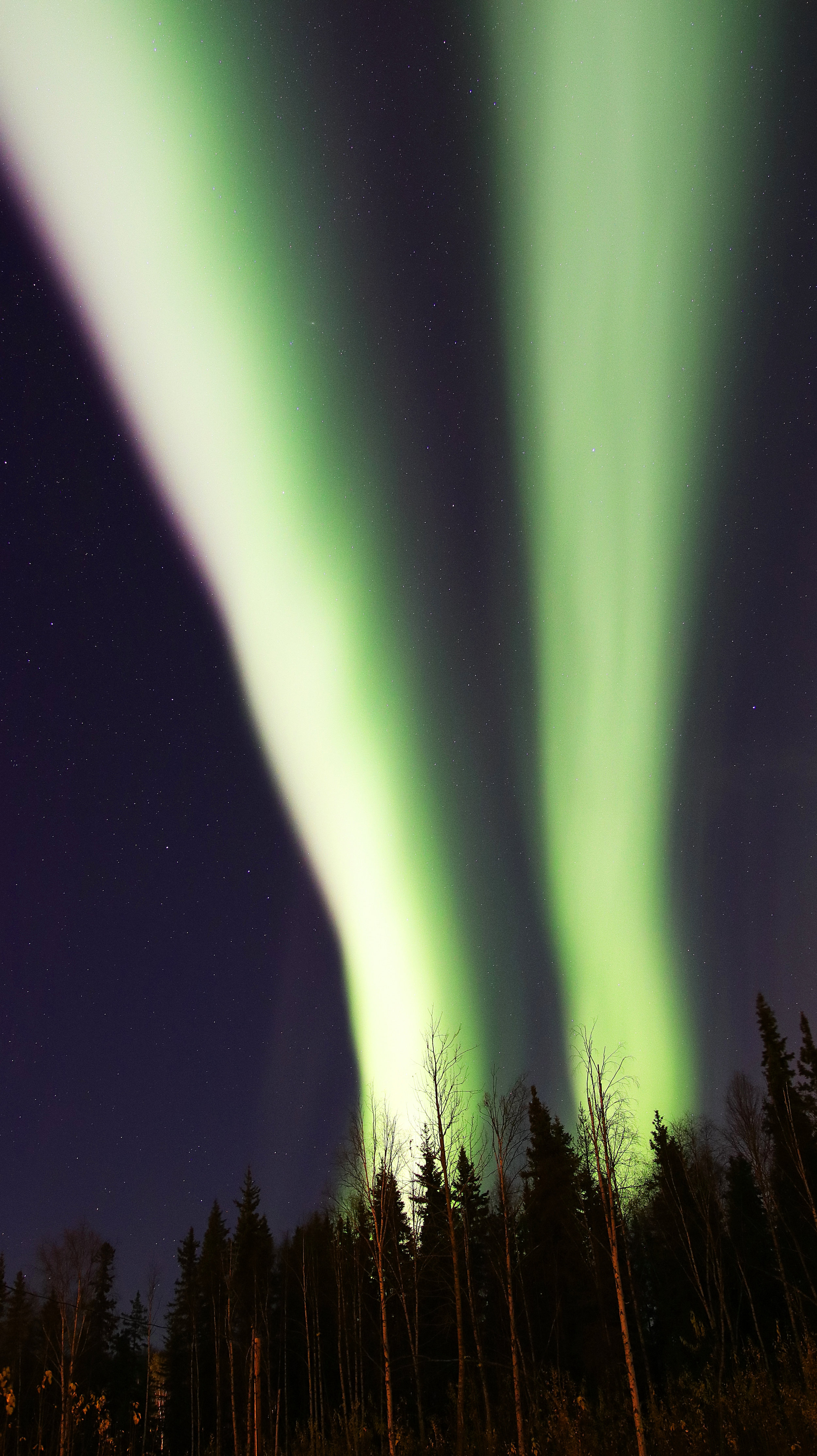 Northern Lights (Aurora Borealis) Portrait