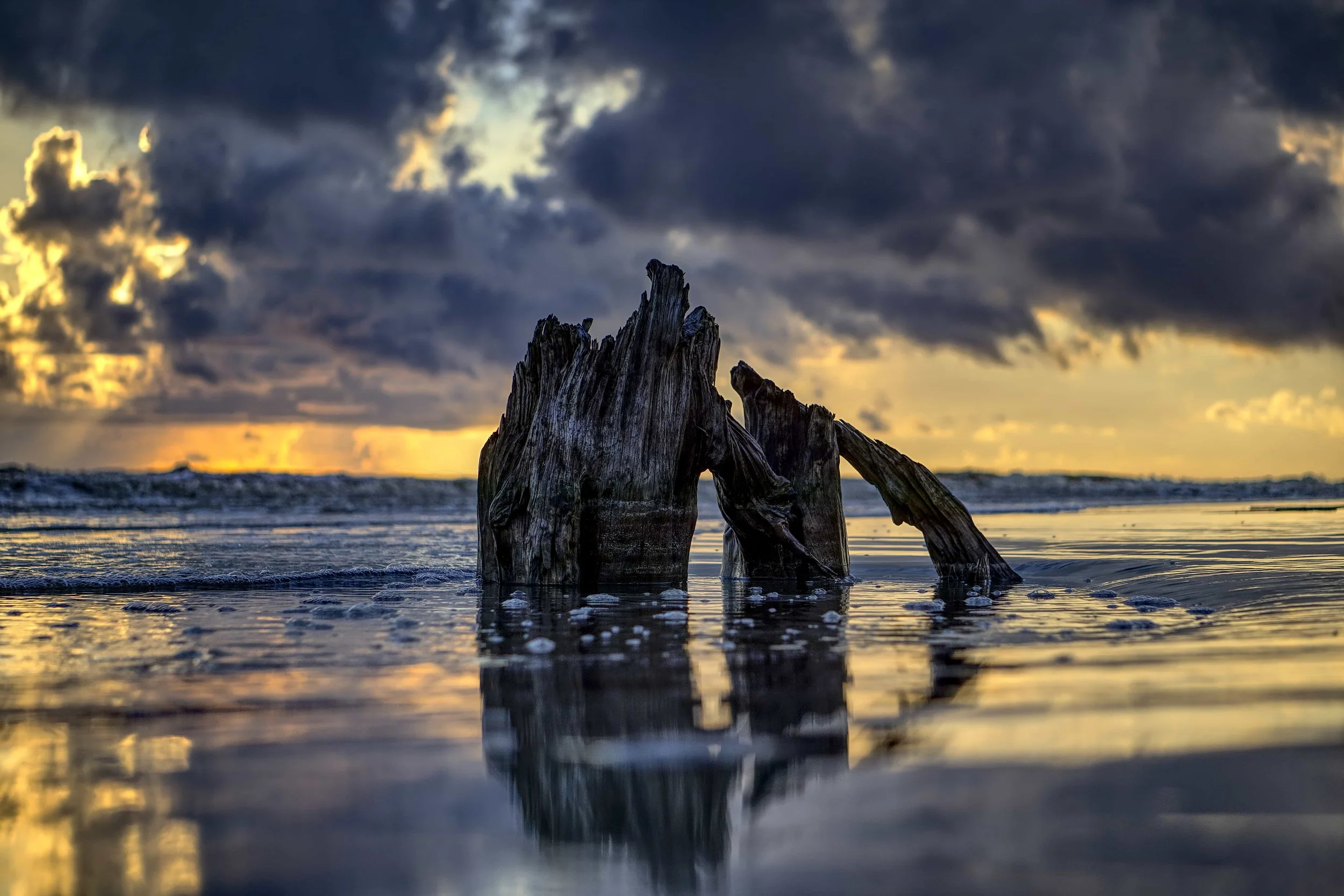 Webp.net-compress-image (27).jpg