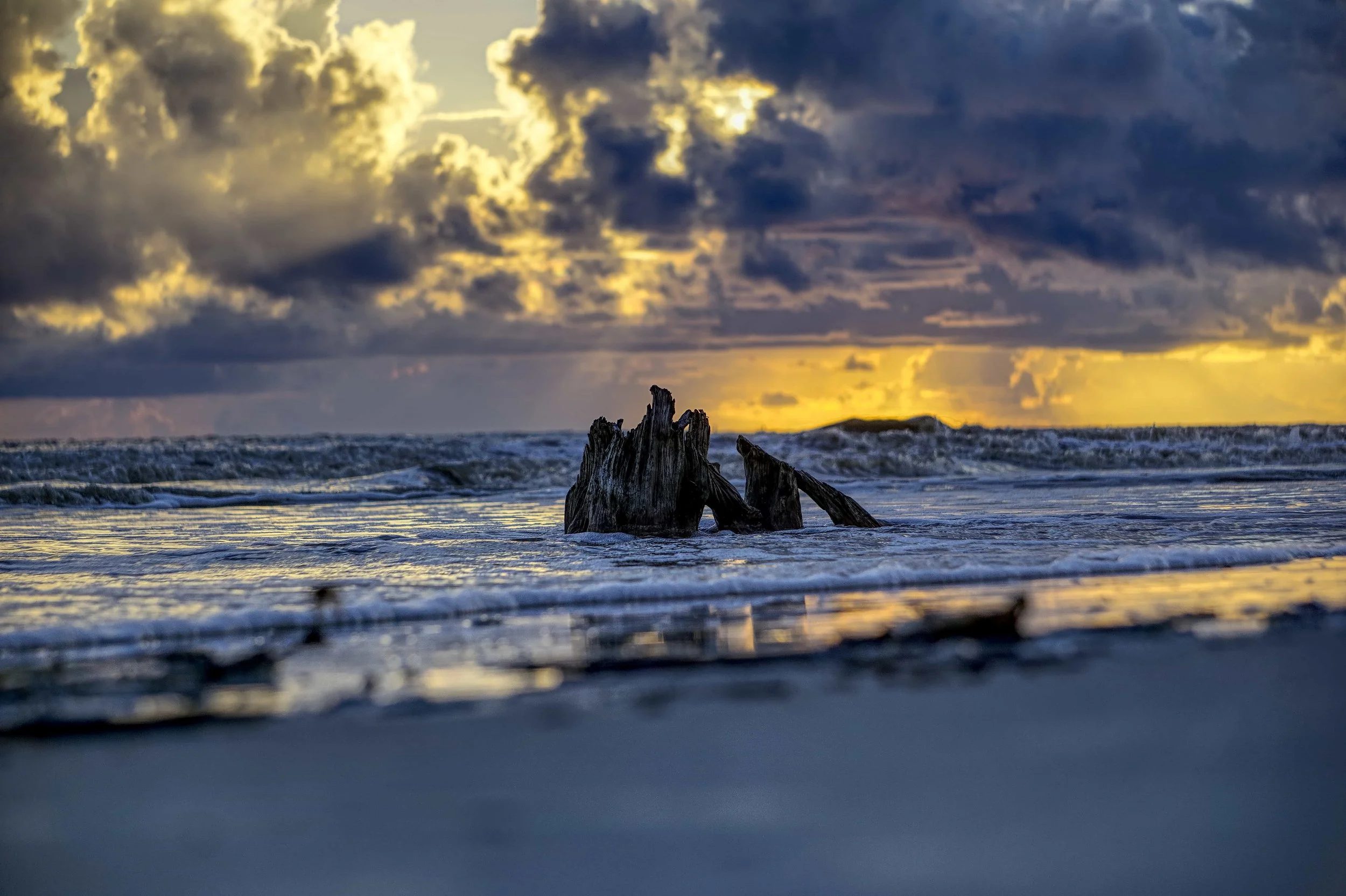 Jekyll Island Sunrise Driftwood Horizon 