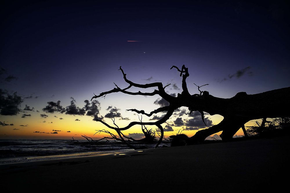 Boneyard Beach (Little Talbot)