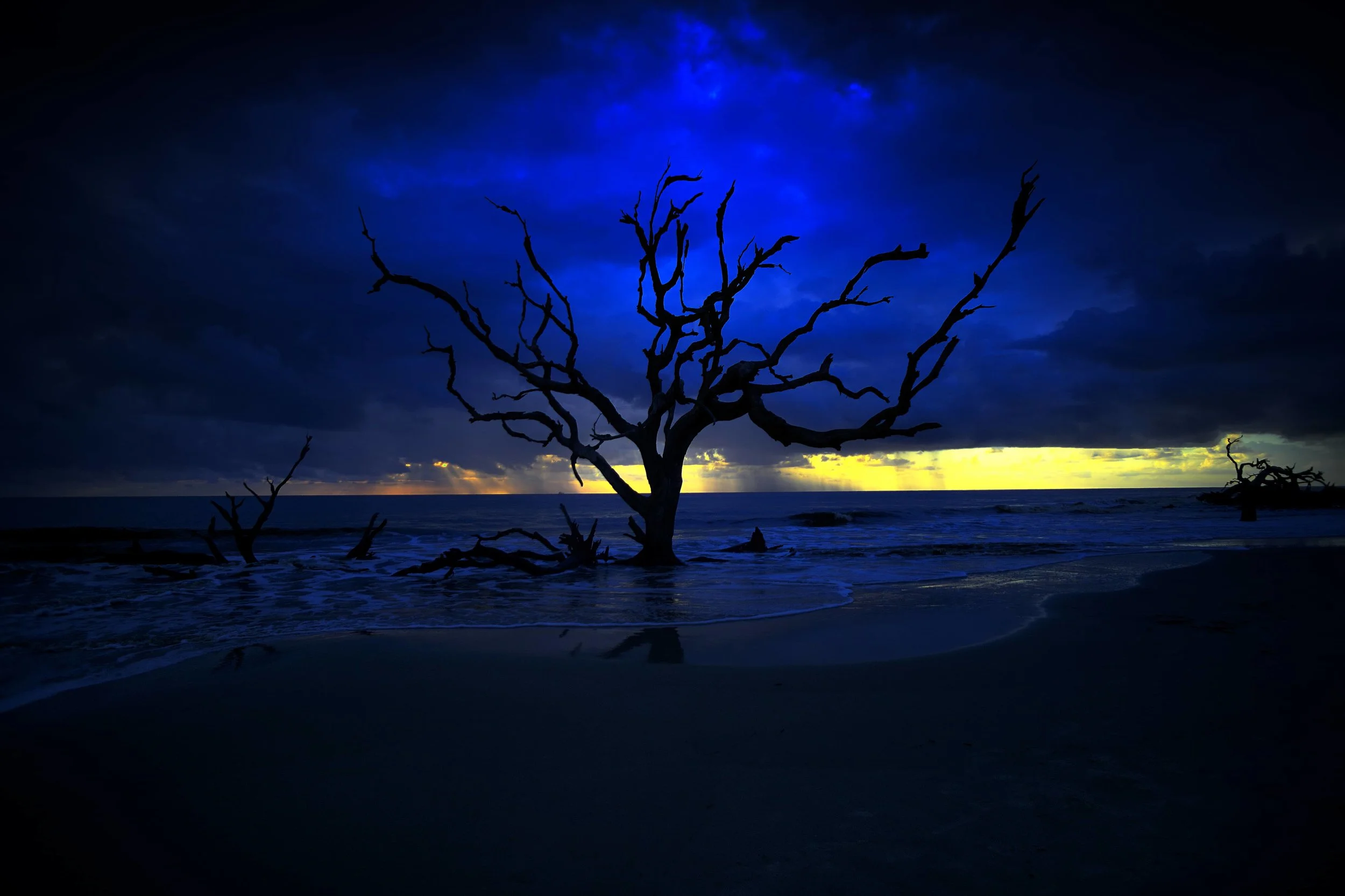 Jekyll Island Driftwood Beach (Cloudy Day)