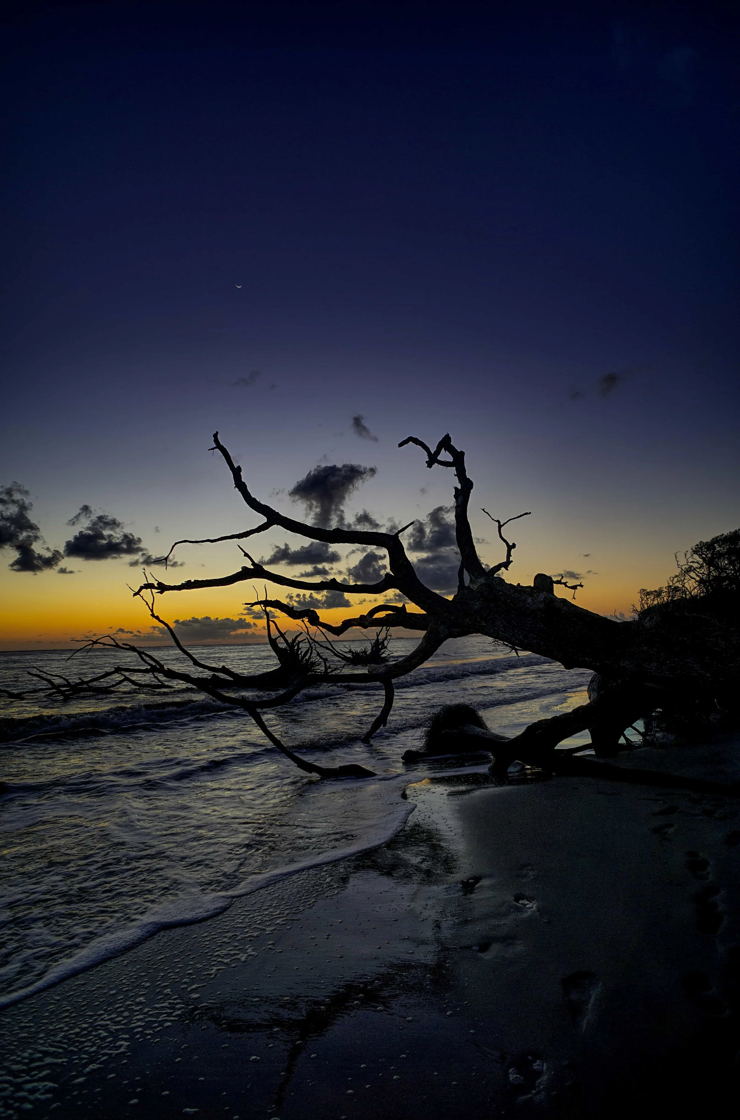 Webp.net-compress-image (39).jpg