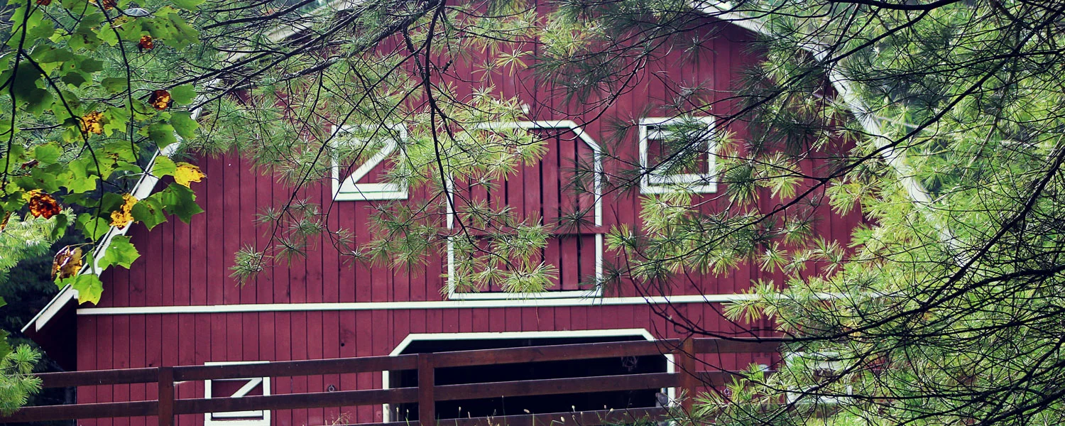  The beautiful and functional barn on the property is home to miniature horses. 