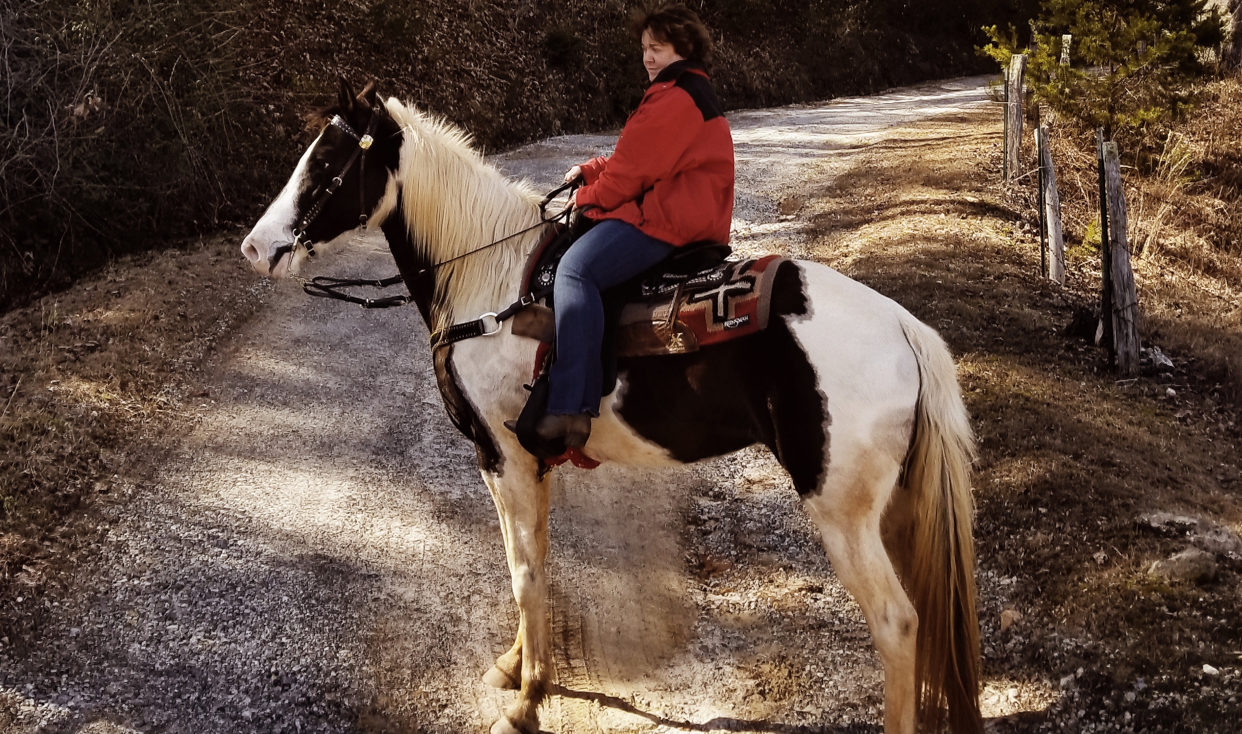 Enjoy horse back riding through miles of beautiful trails.