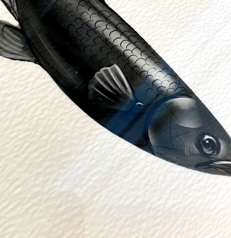 FancyGuppy_02.jpg