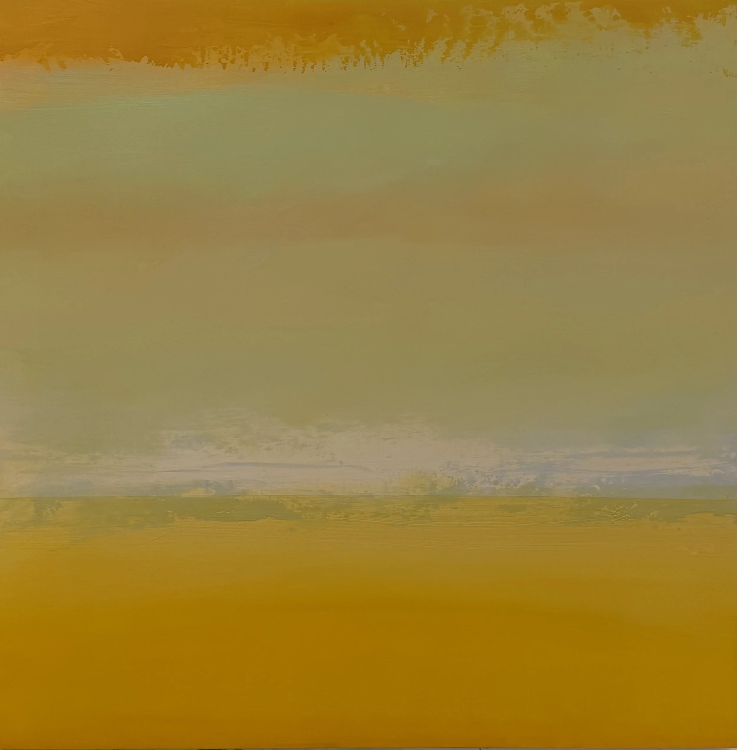 Apricot sky