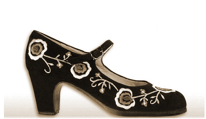 flamenco dance shoe.jpg