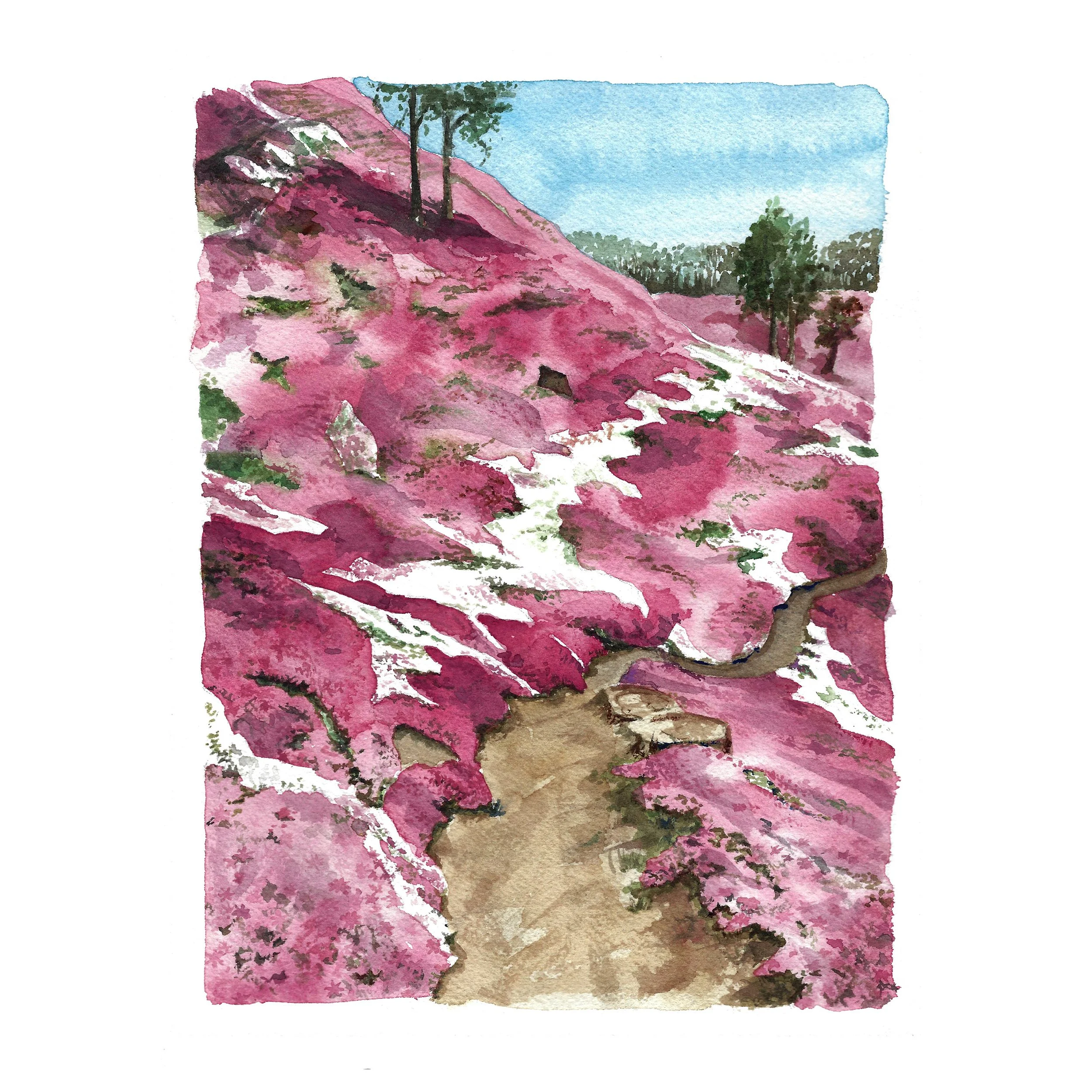 Higashi Mokoto Shibazakura Park 02（ひがしもこと芝桜公園）